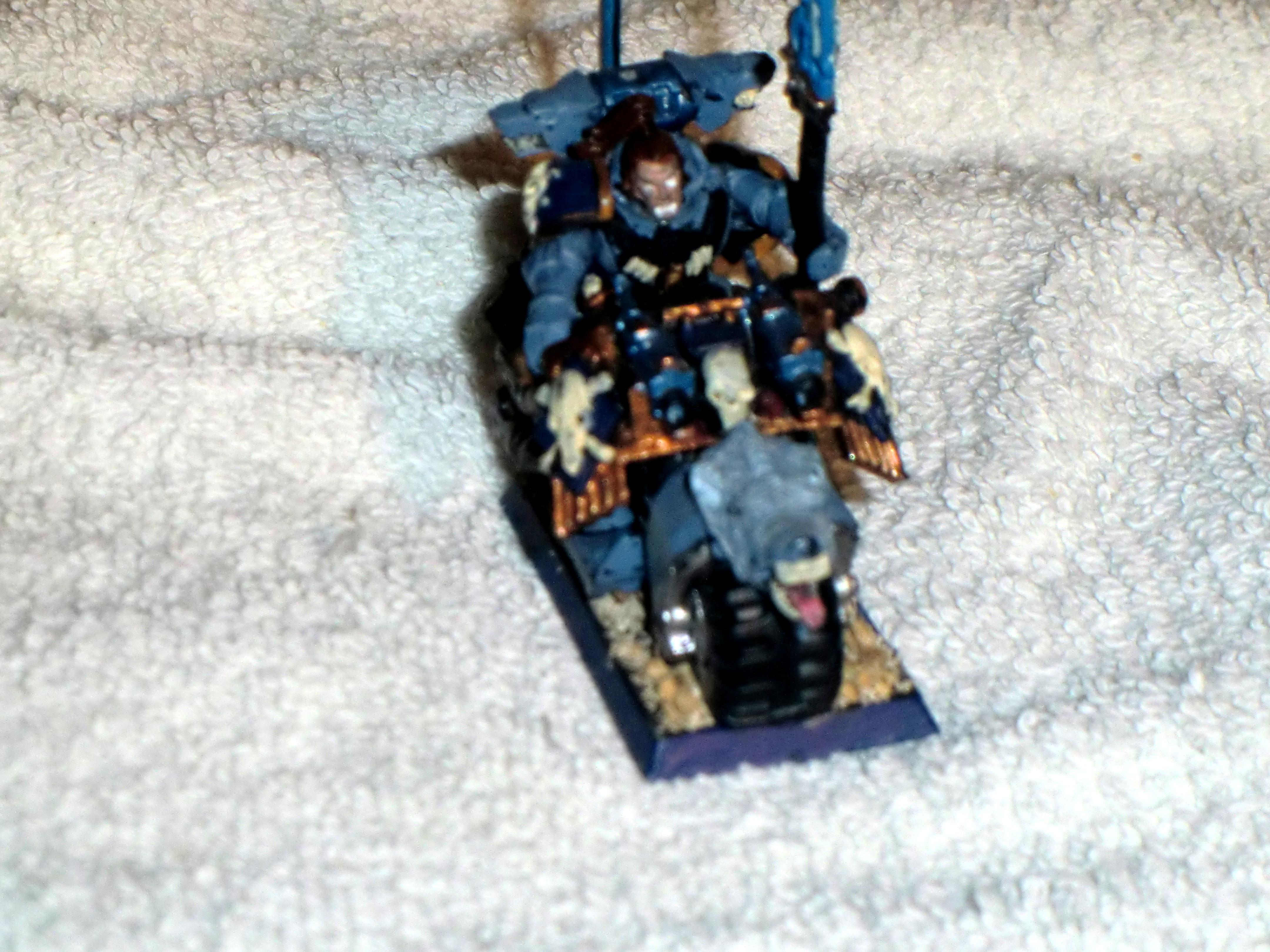 WolfLord on Bike