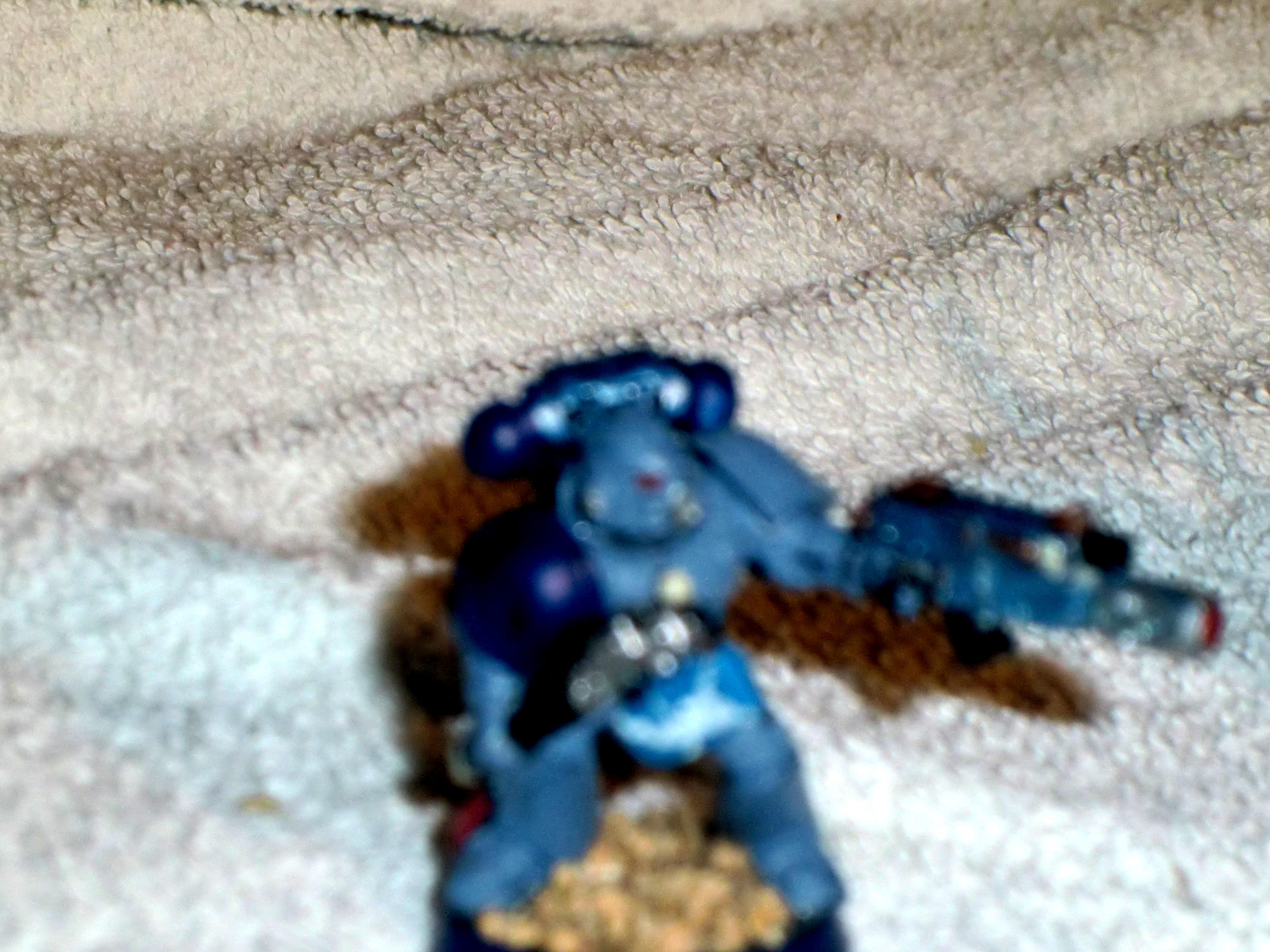 Combi-melta, Guard, Wolf
