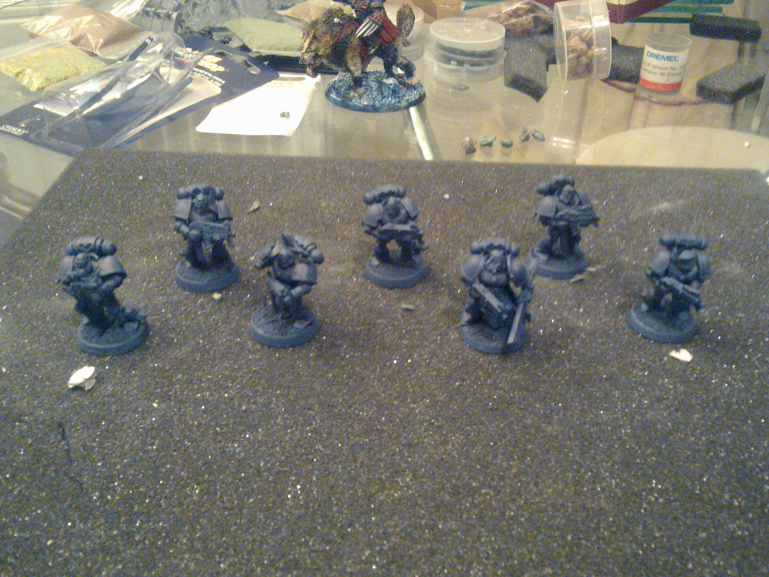 Grey hunters sprayed