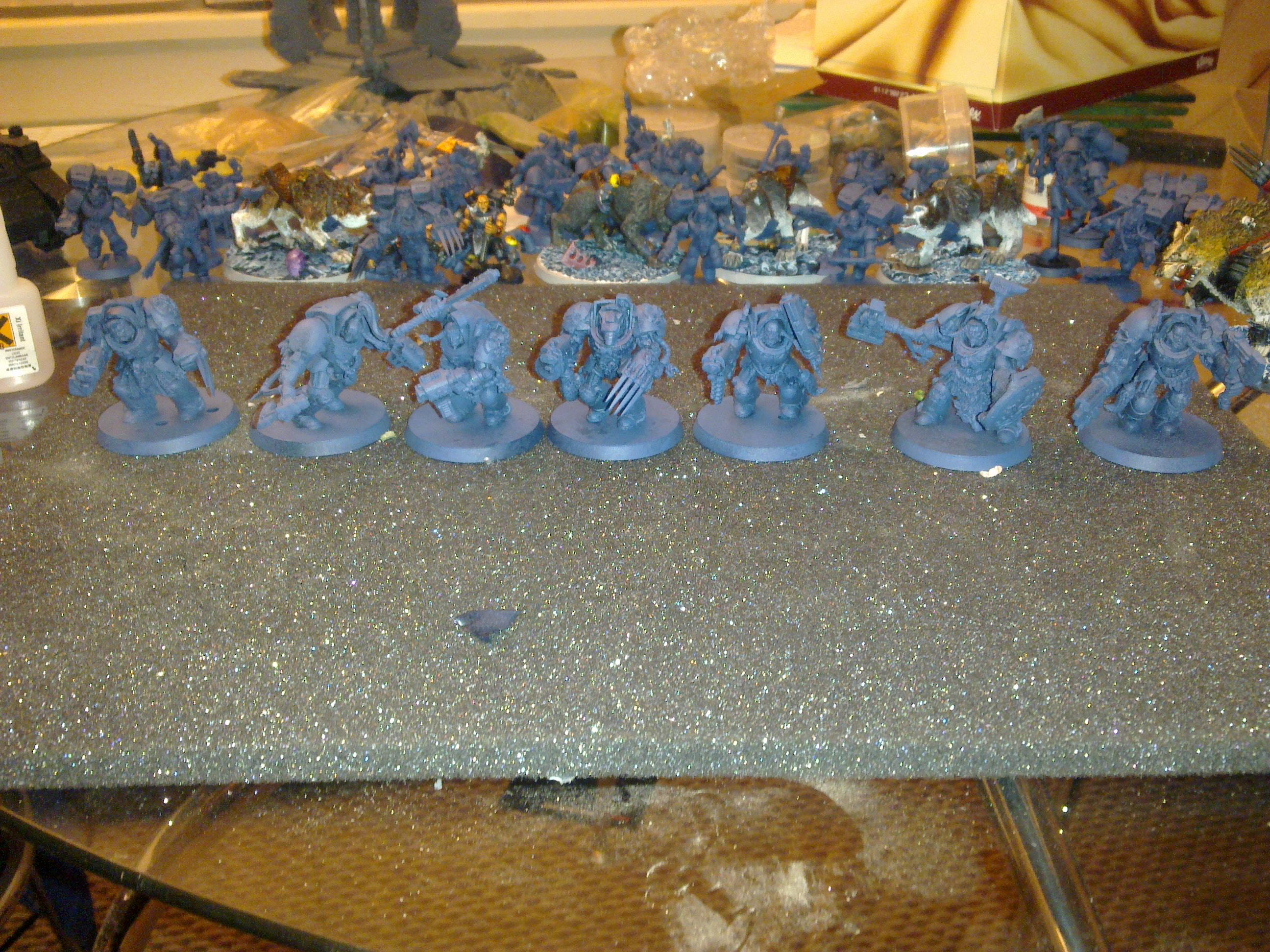 Wolf Guard termies