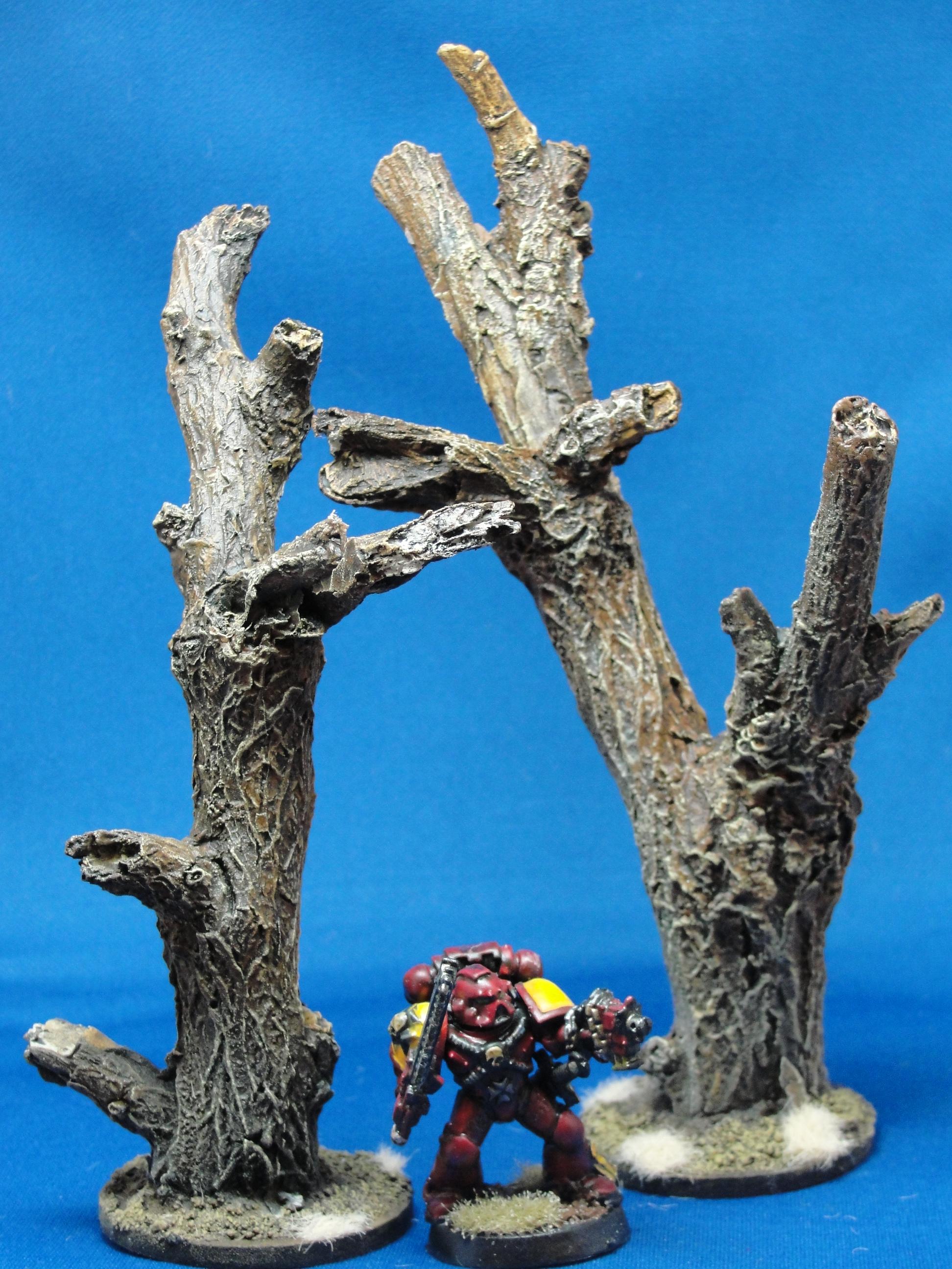 Terrain, Trees, Terrain, Trees