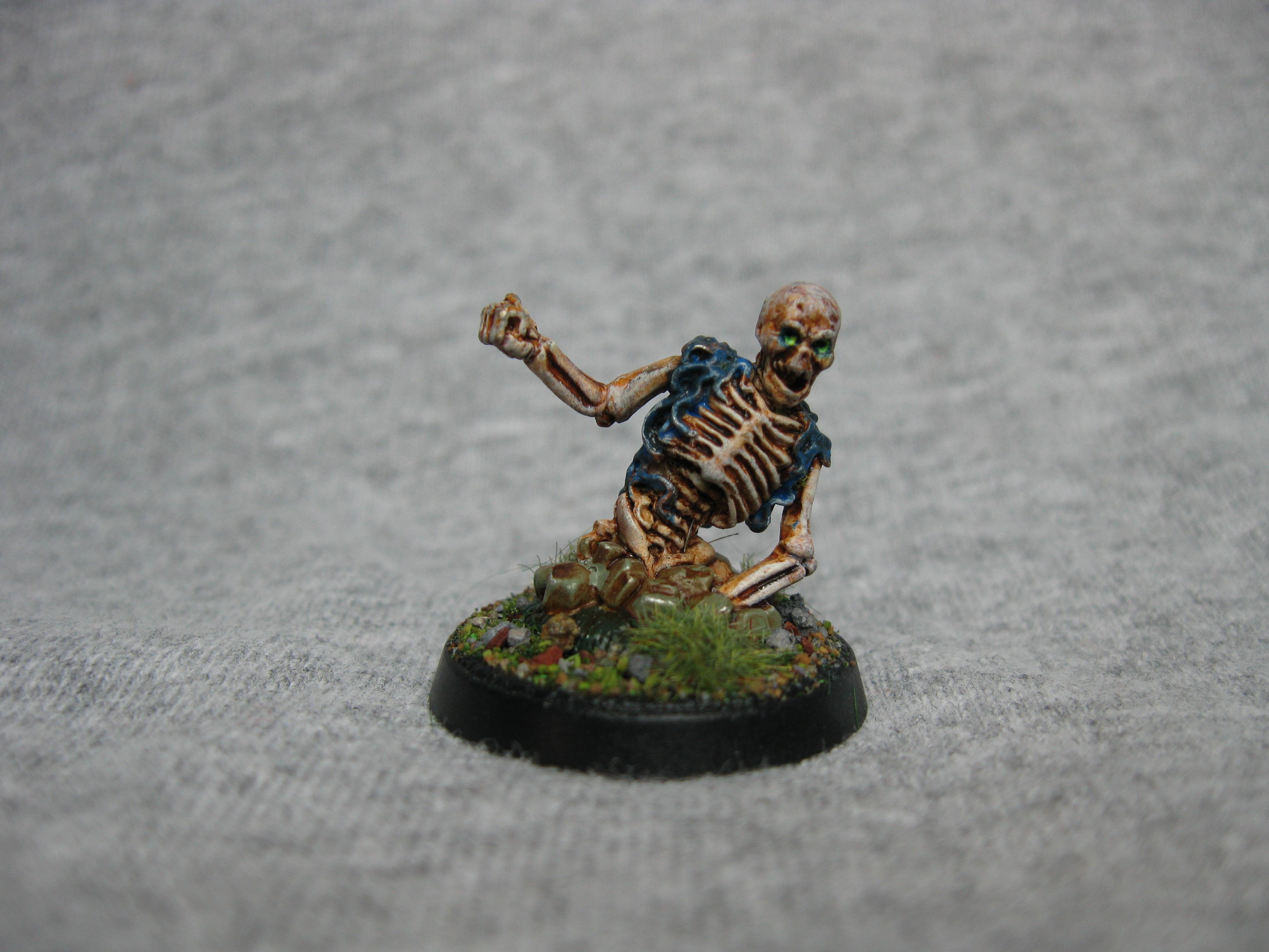 Pathfinders, Pro Painted, Reaper, Reaper Miniatures, Reaper Minis, Rpg, Skeletons, Warhammer Fantasy