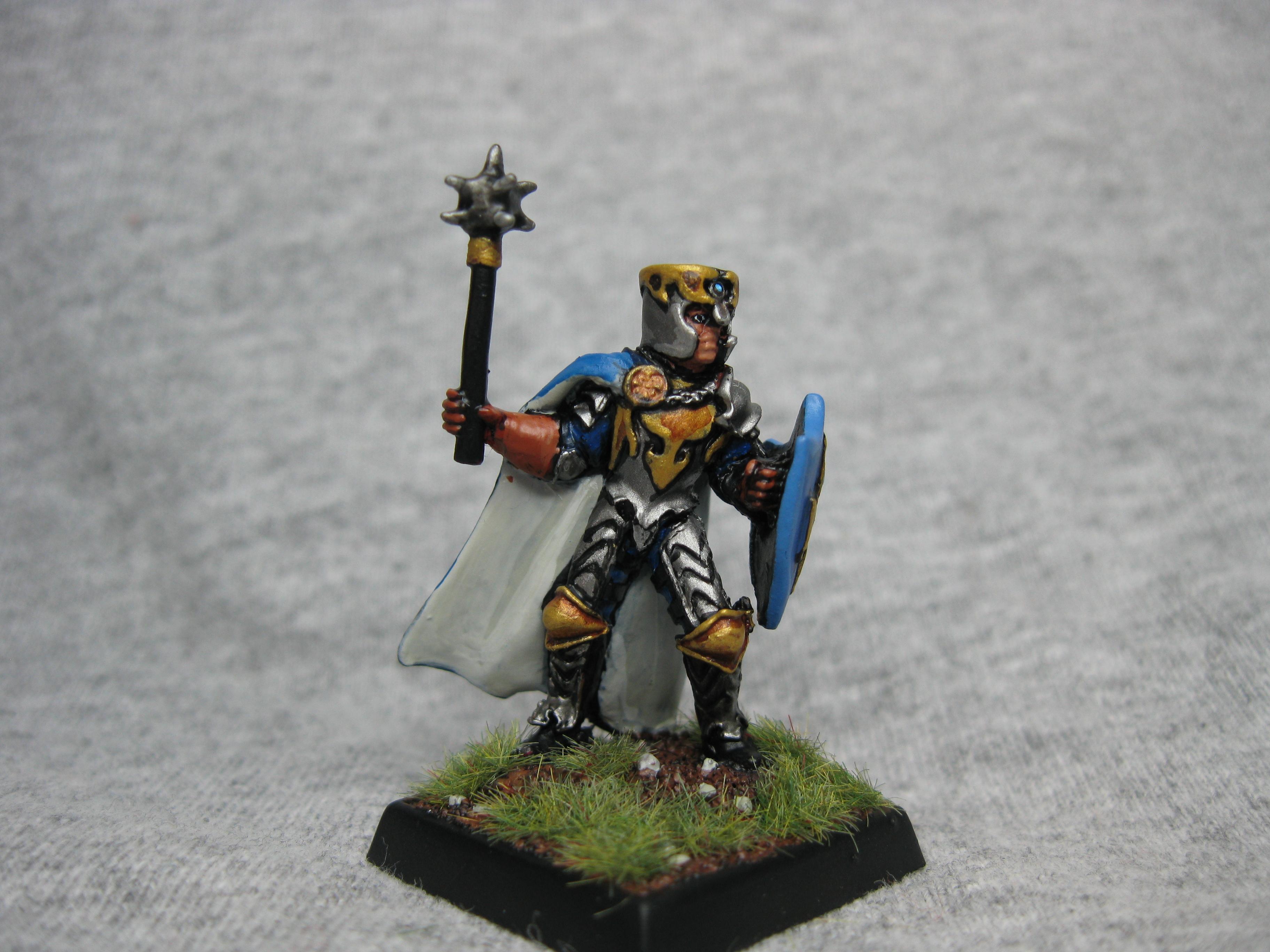 Knights, Pathfinders, Pro Painted, Reaper, Reaper Miniatures, Reaper Minis, Rpg, Warhammer Fantasy