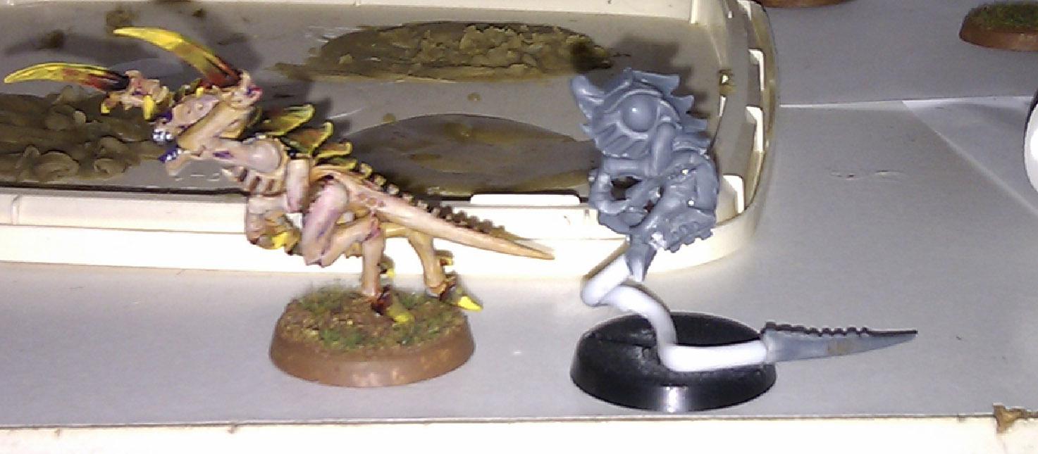 Body on tail - with comparison hgaunt