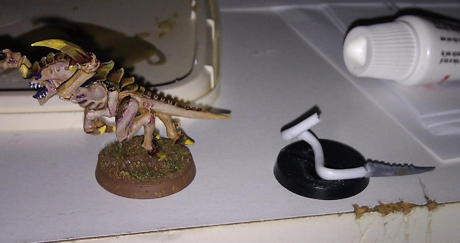 The tail - with comparison hgaunt