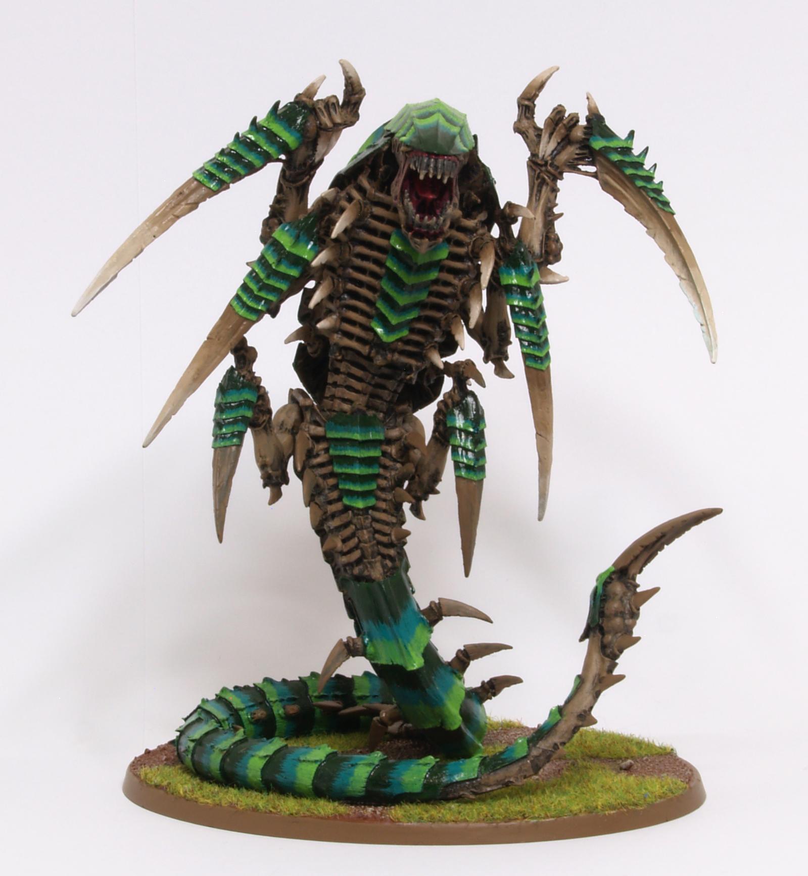 Trygon front