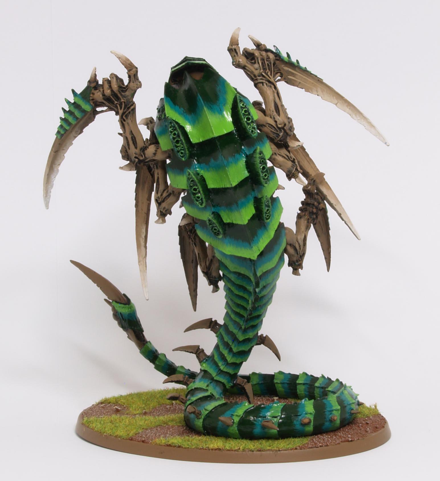 Trygon back