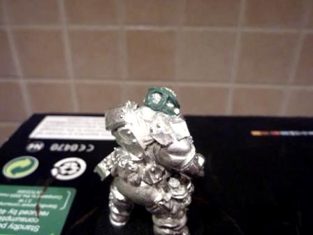 Imperial Guard, Ogryns