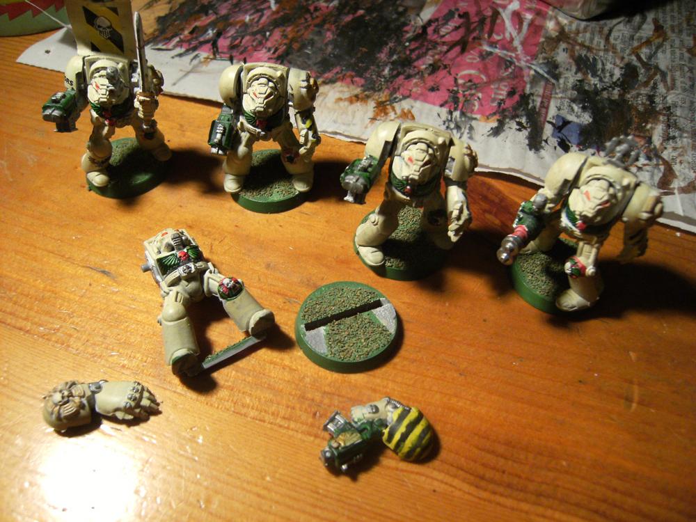 Donor Termies