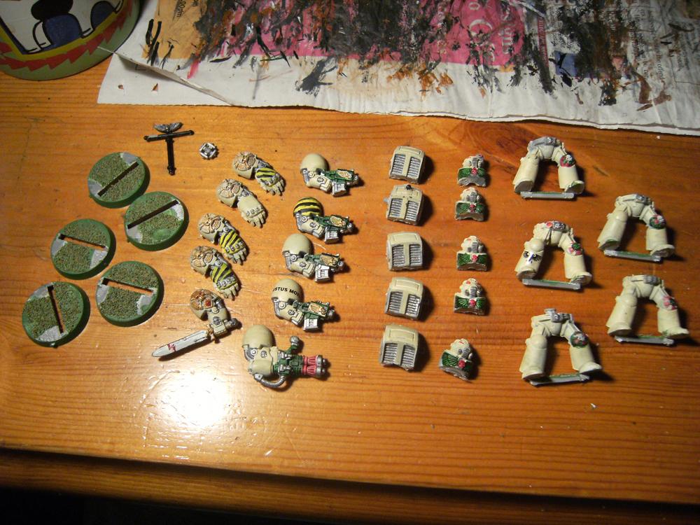 Donor Termies 2