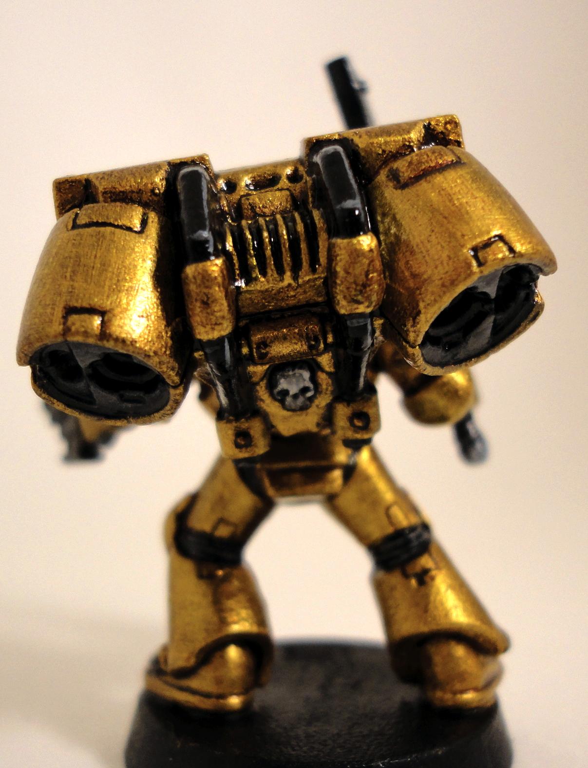 Lion Warriors, Space Marines