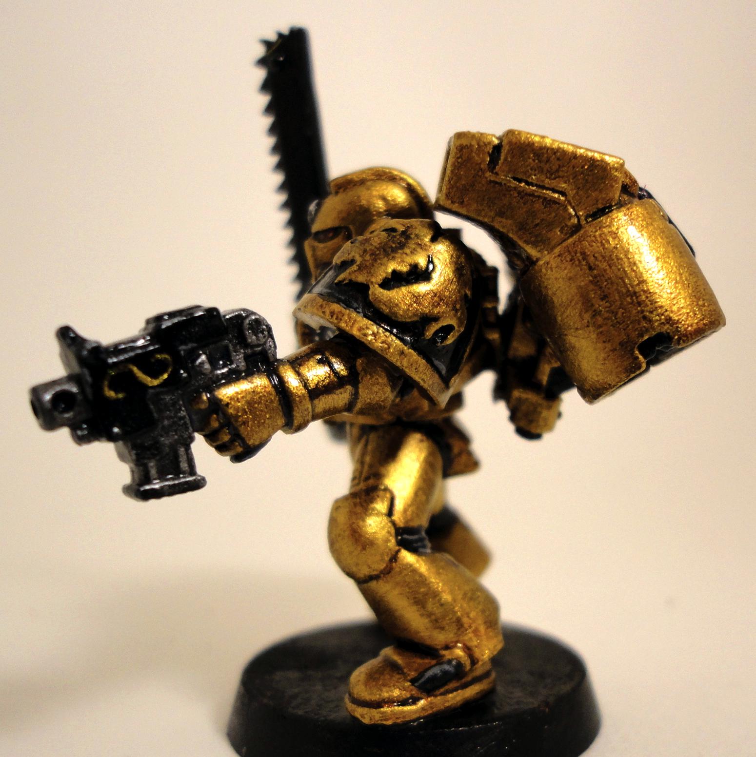 Lion Warriors, Space Marines