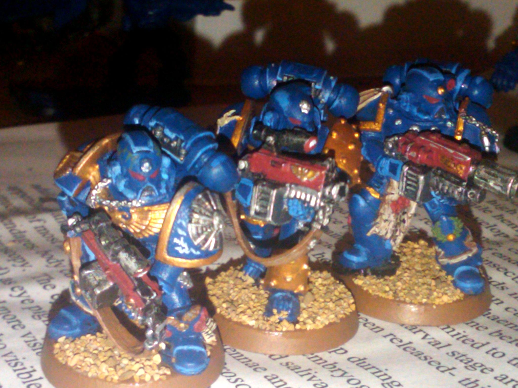 Sternguard WIP