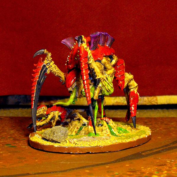 Tervigon 1