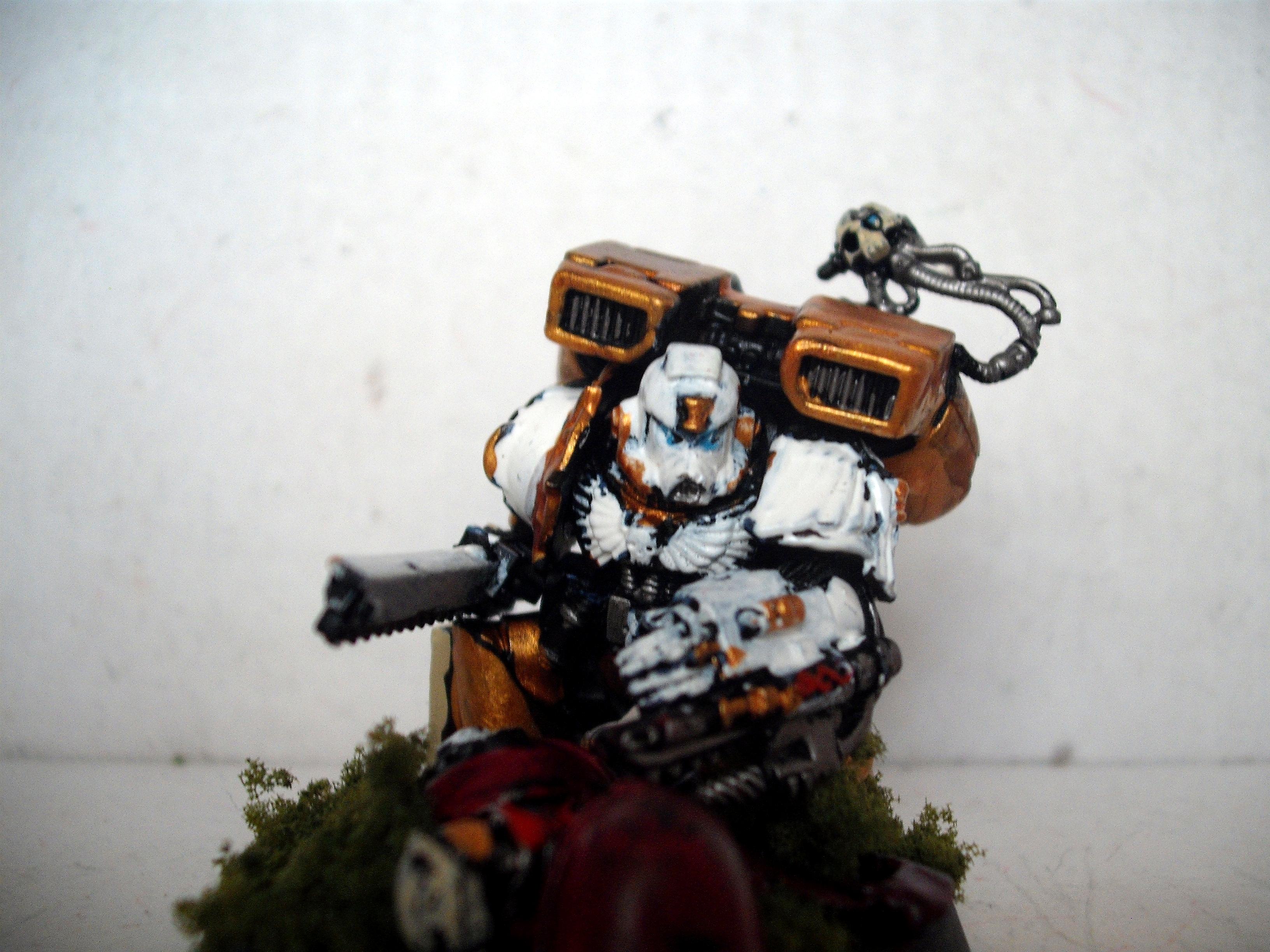 Apothecary, Blood Angels, Honour Guard, Sanguinary Priest, Space Marines