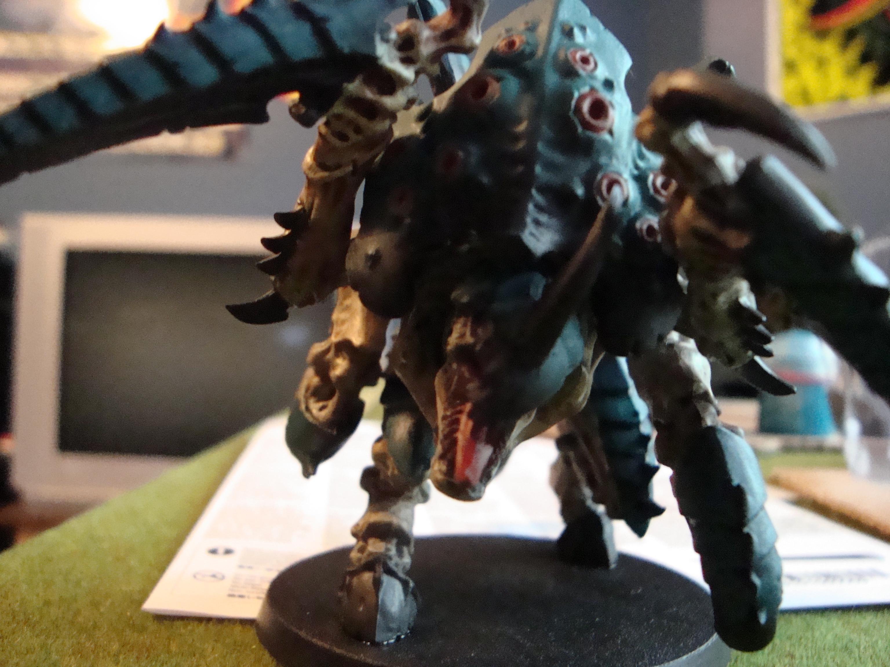 Carnifex