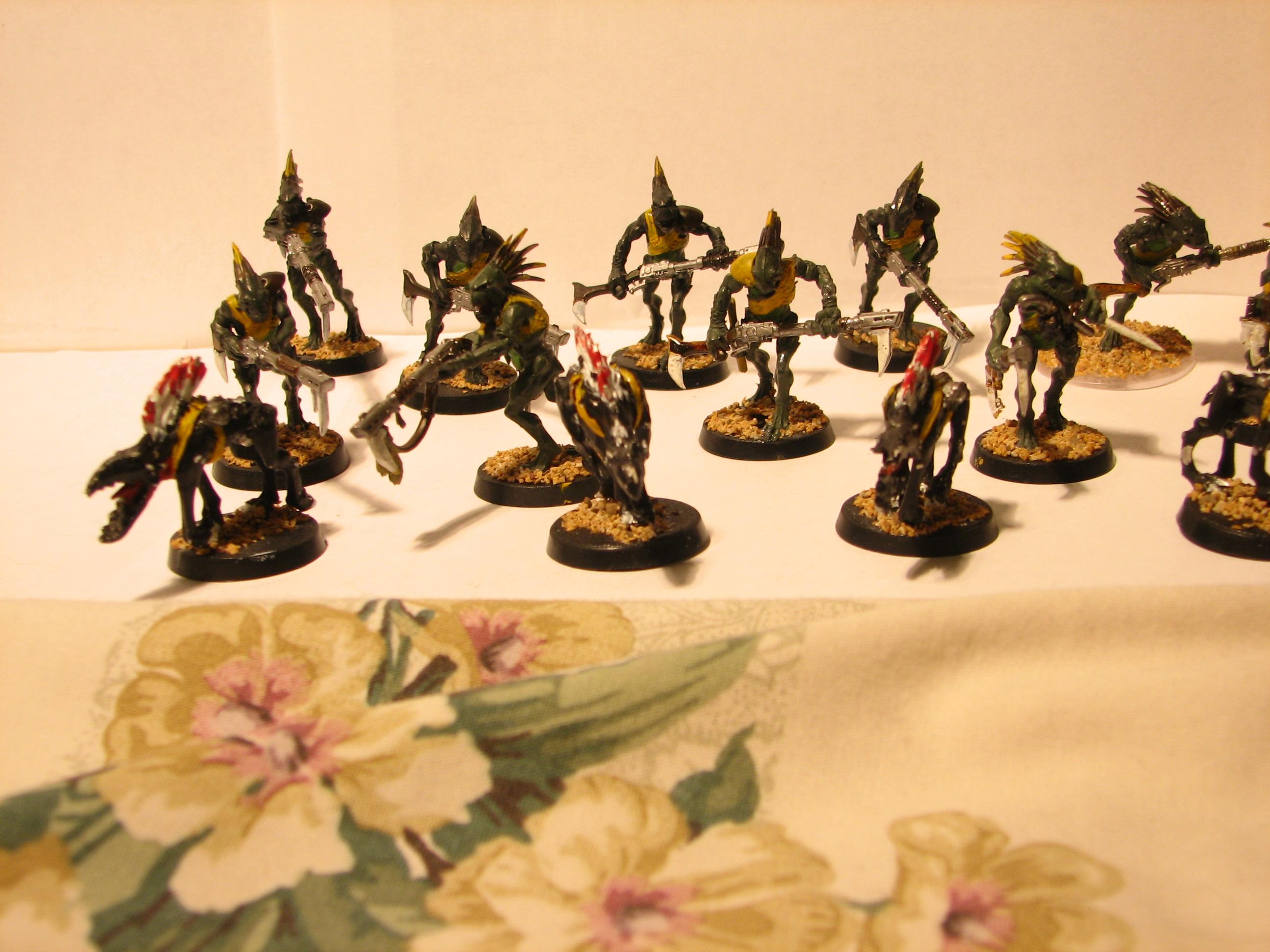 Kroot kindred