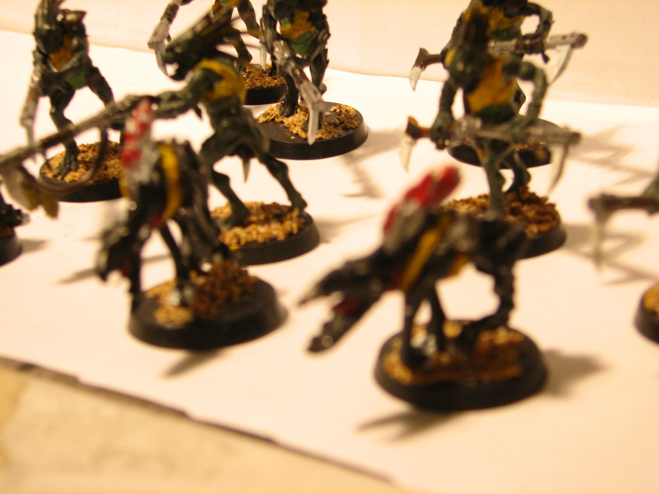 Kroot Kindred: closeup