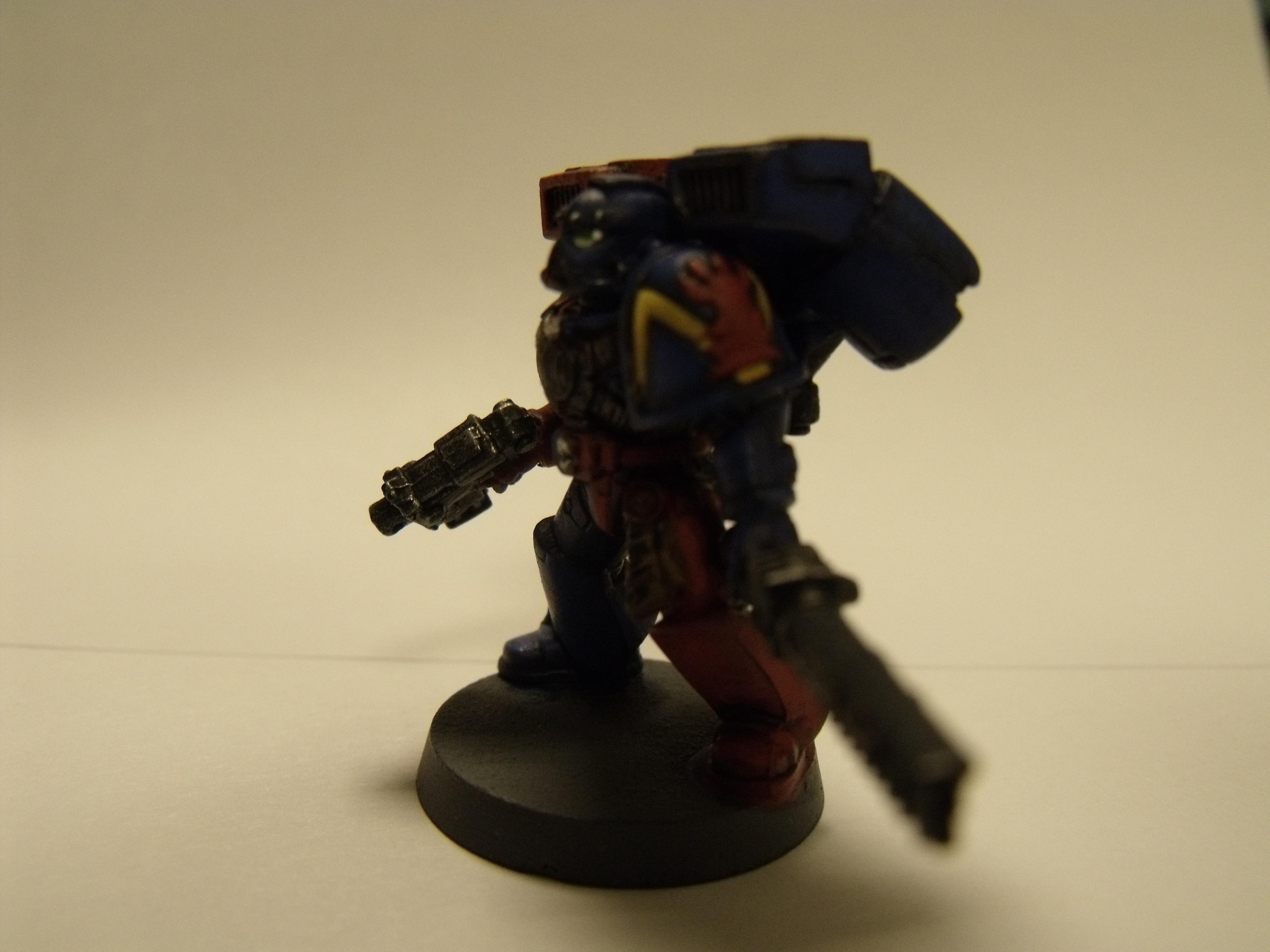Brazen Claw Marine, Brazen Claw Marine