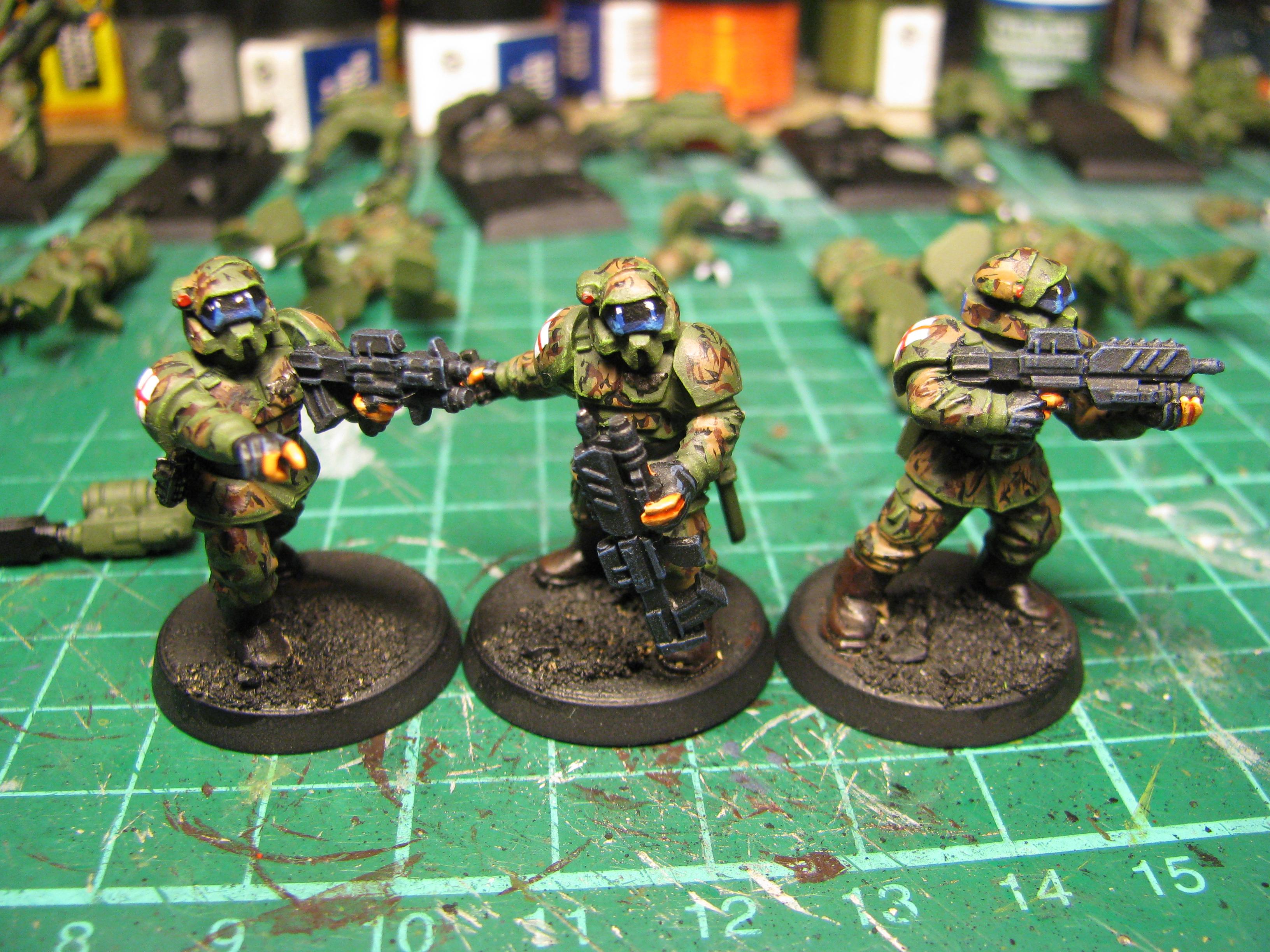 Camouflage, Conversion, Imperial Guard, Pig Iron