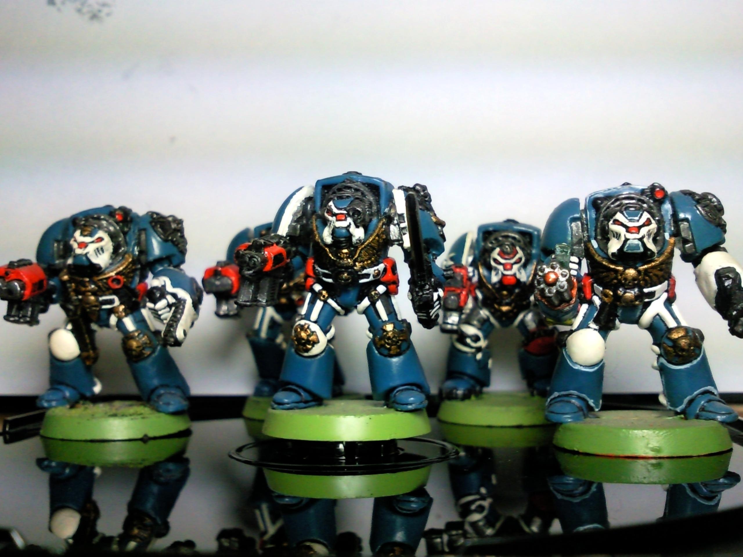 Army, Space Marines, Terminator Armor, Terminator Squad, Ultramarines, Warhammer 40,000, Work In Progress