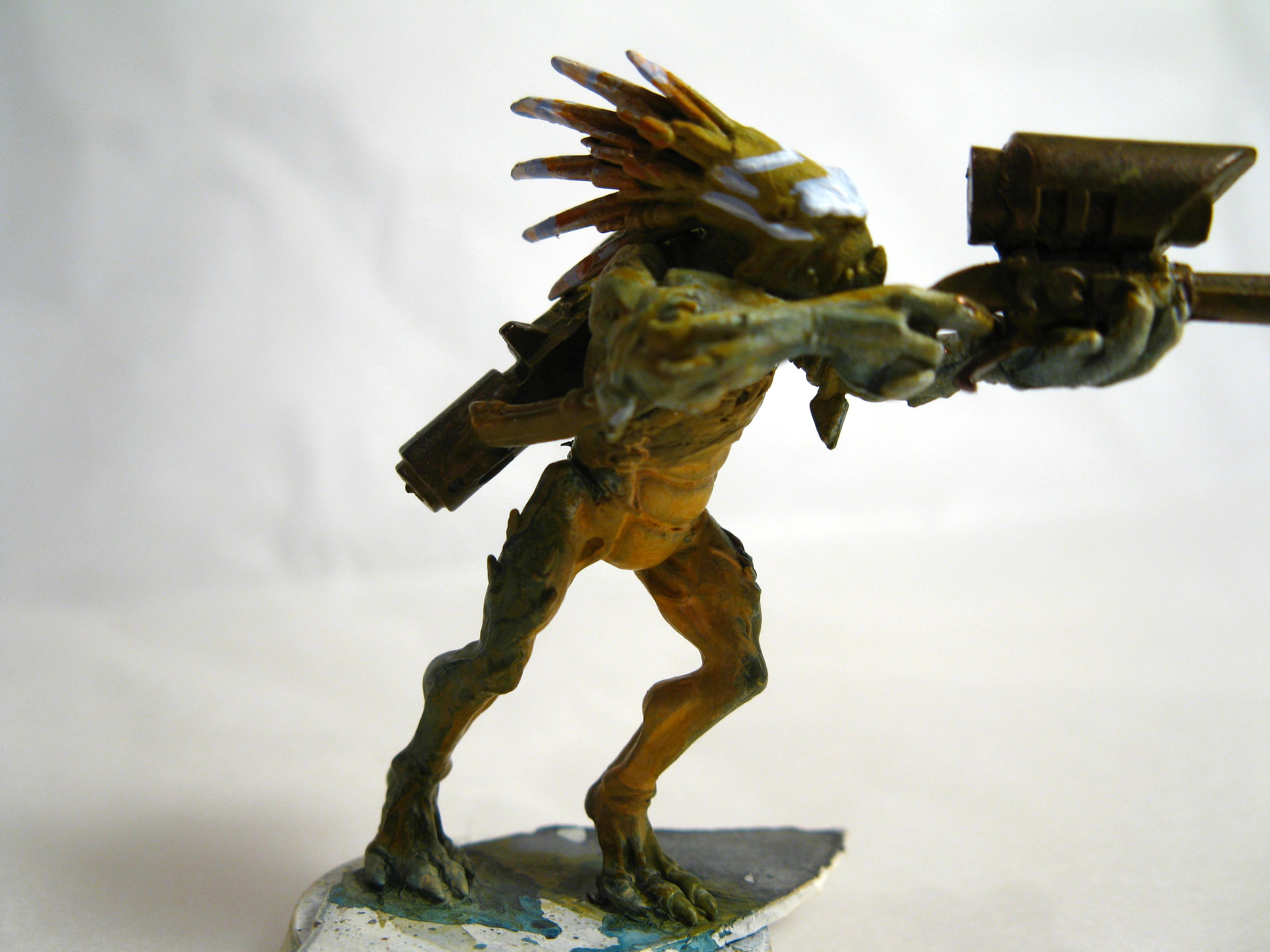 Kroot, Tau, Warhammer 40,000, Warhammer Fantasy