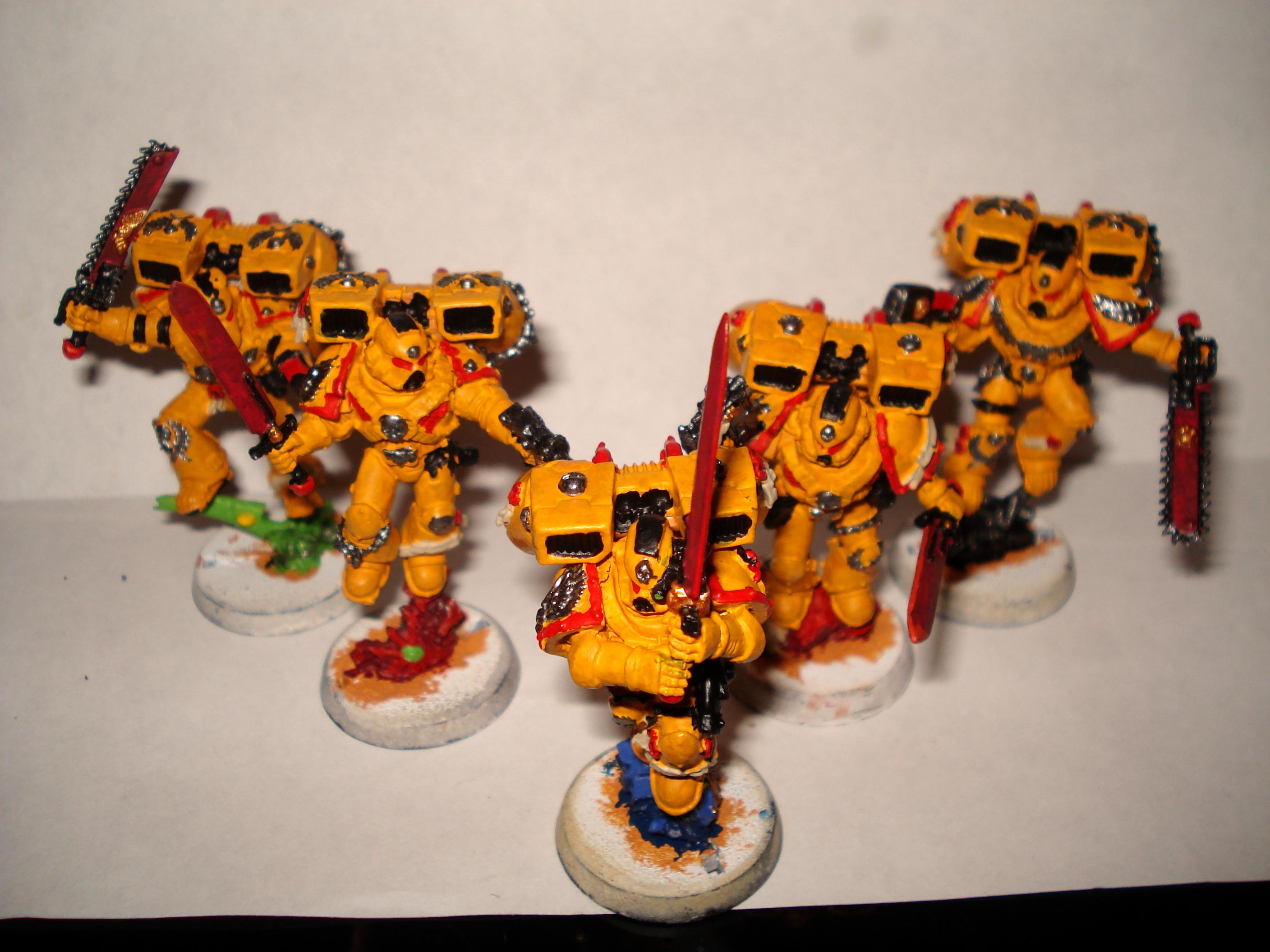 Imperial Fists, Space Marines, Vanguard