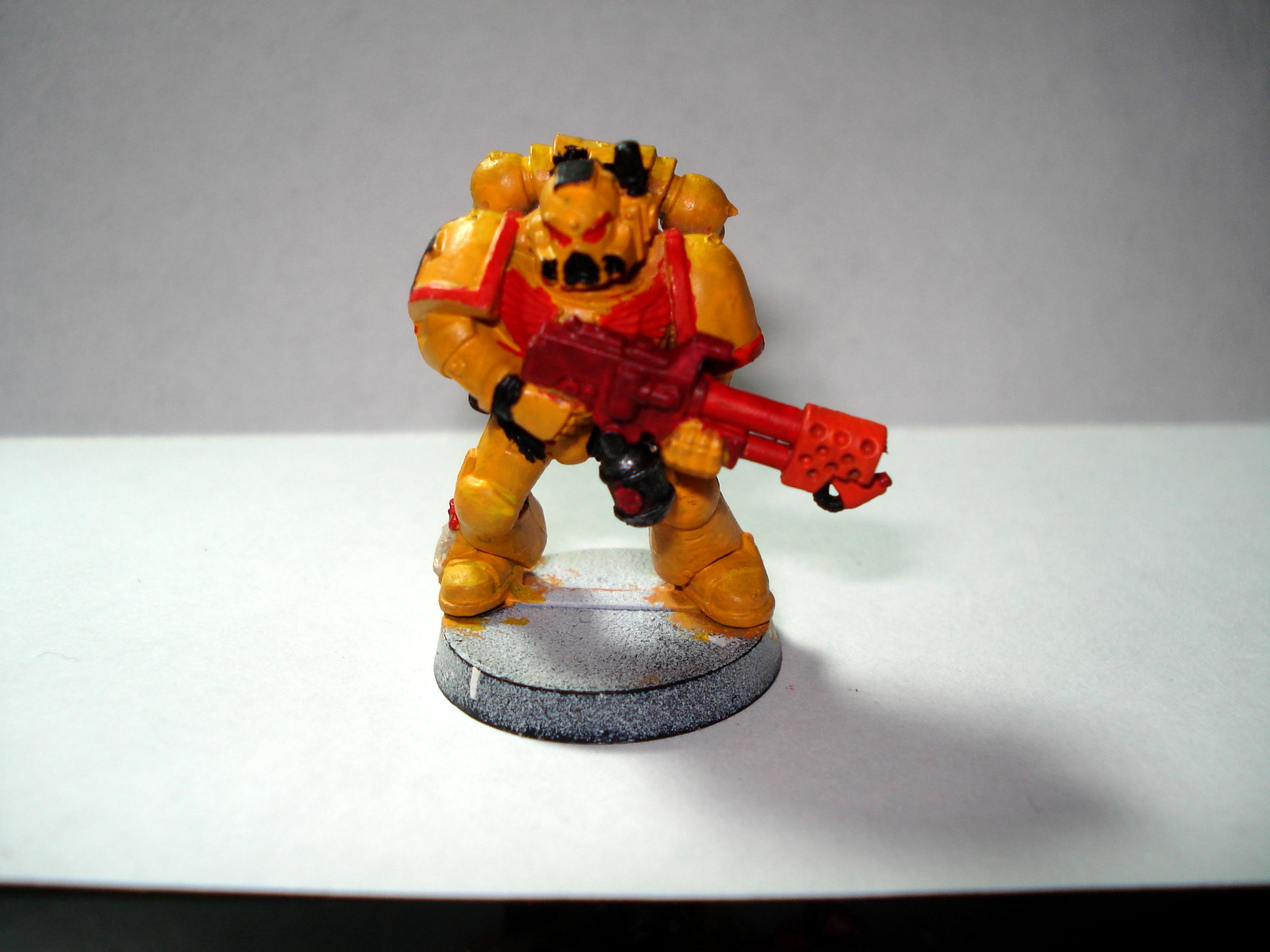 Imperial Fists, Space Marines, Tactical