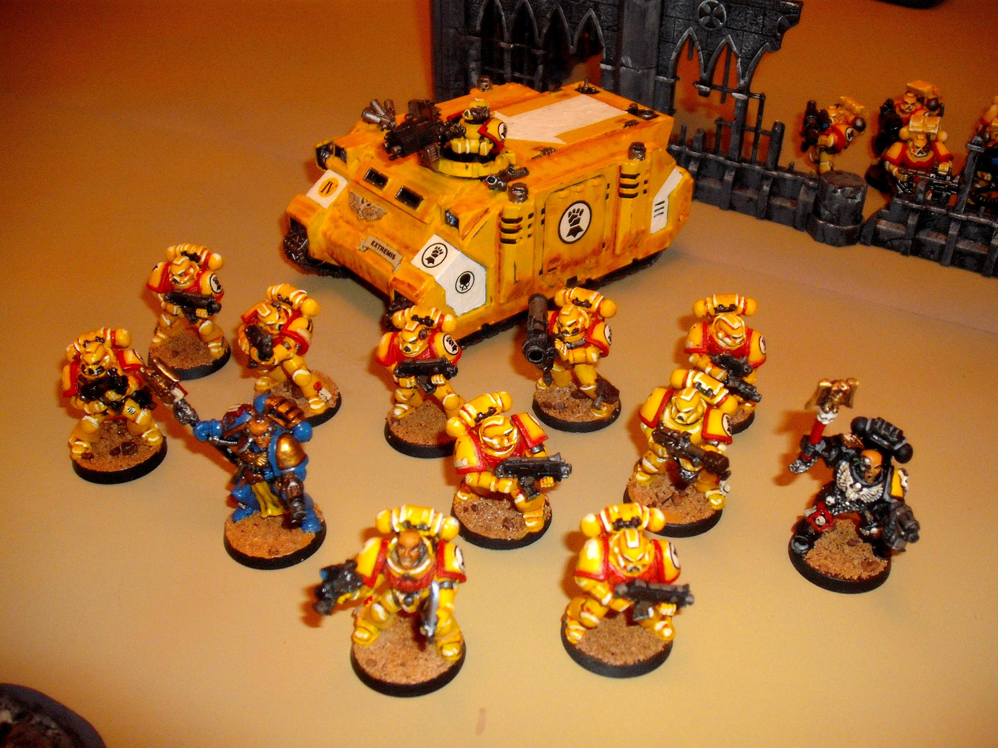 Chaplain, Imperial Fists Space Marines, Librarian, Rhino