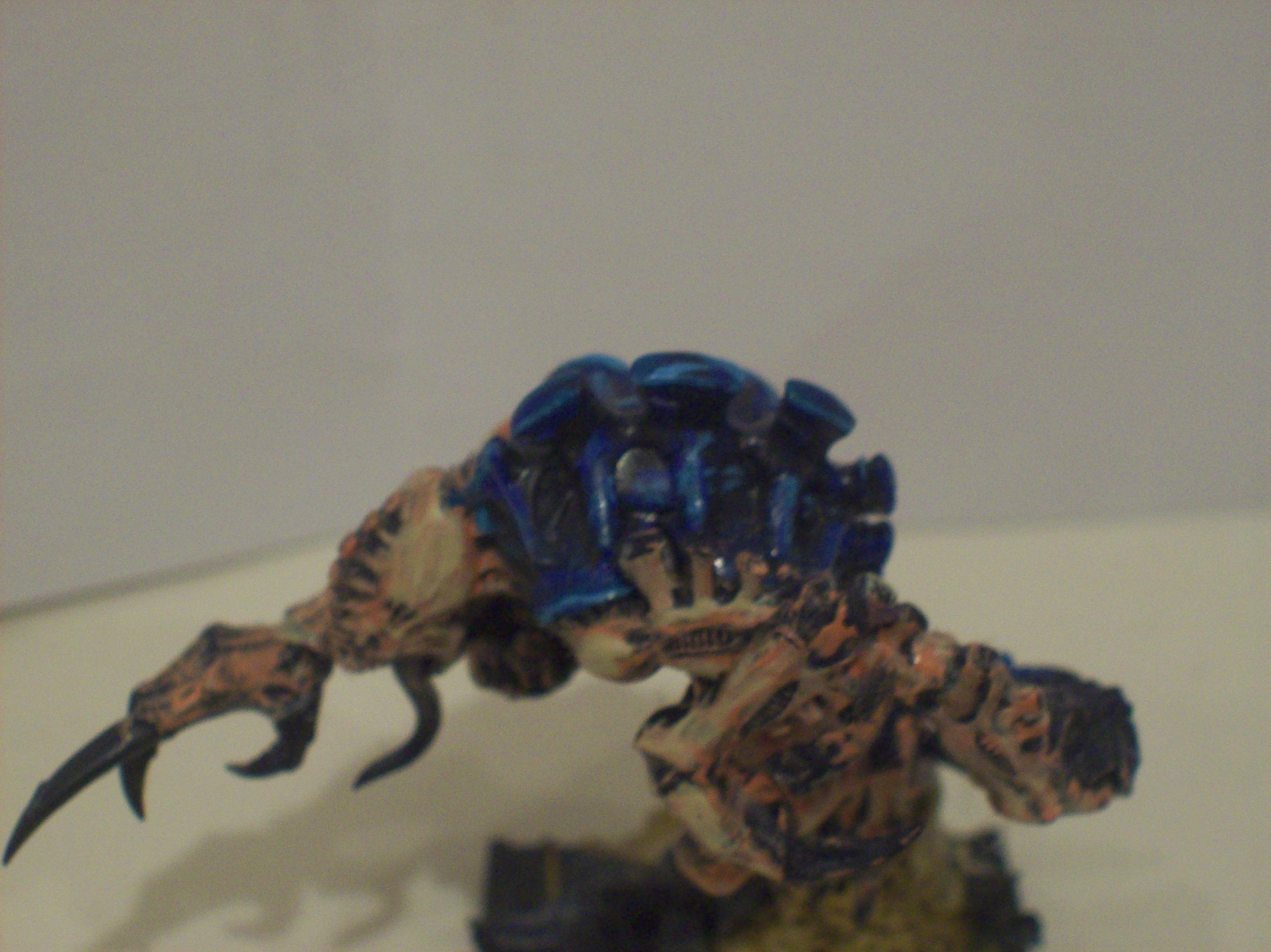 Broodlord's Chitin