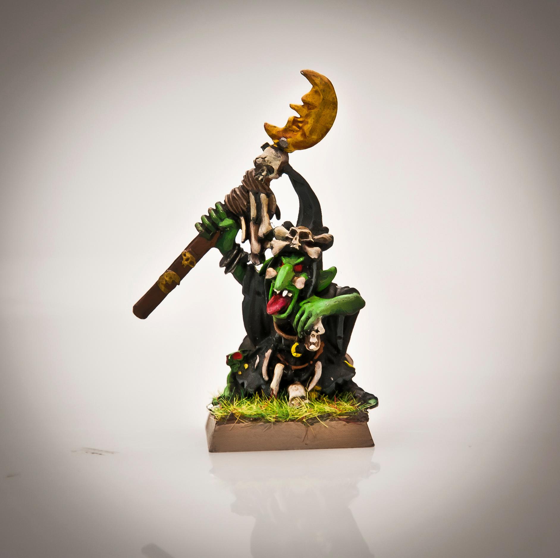 Goblins, Night Goblins, Shaman, Warhammer Fantasy