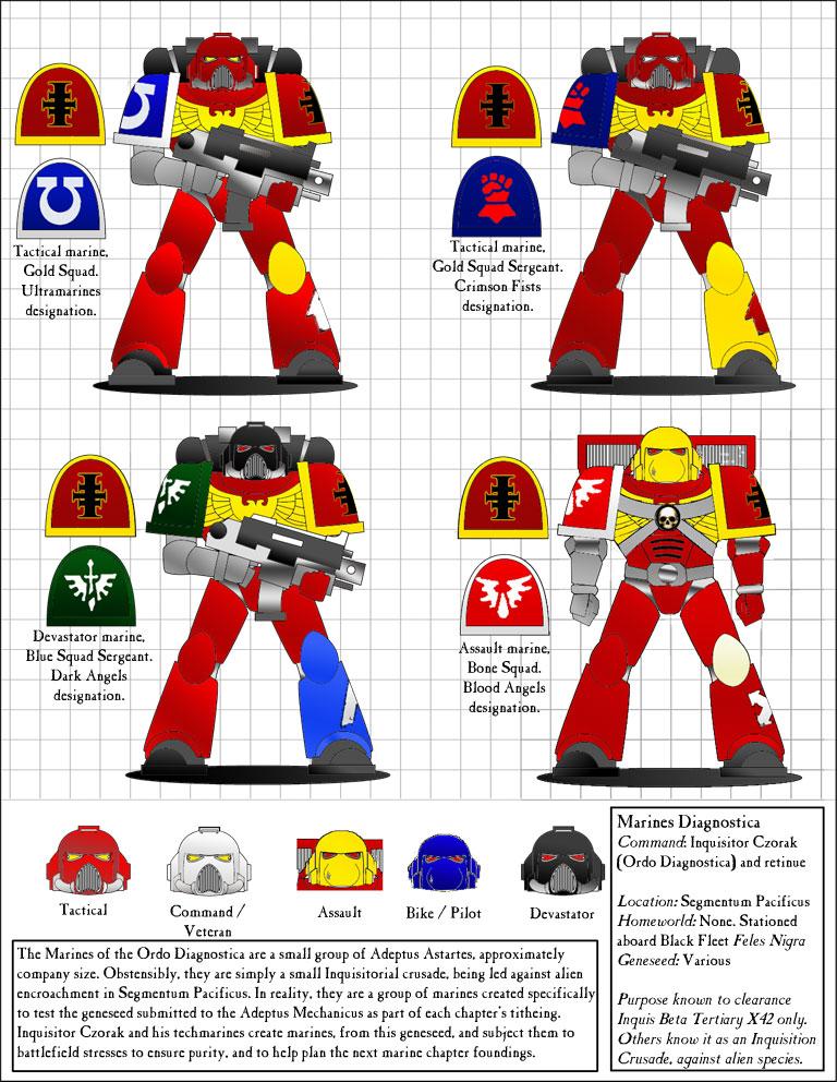 Marines Diagnostica Uniform Chart