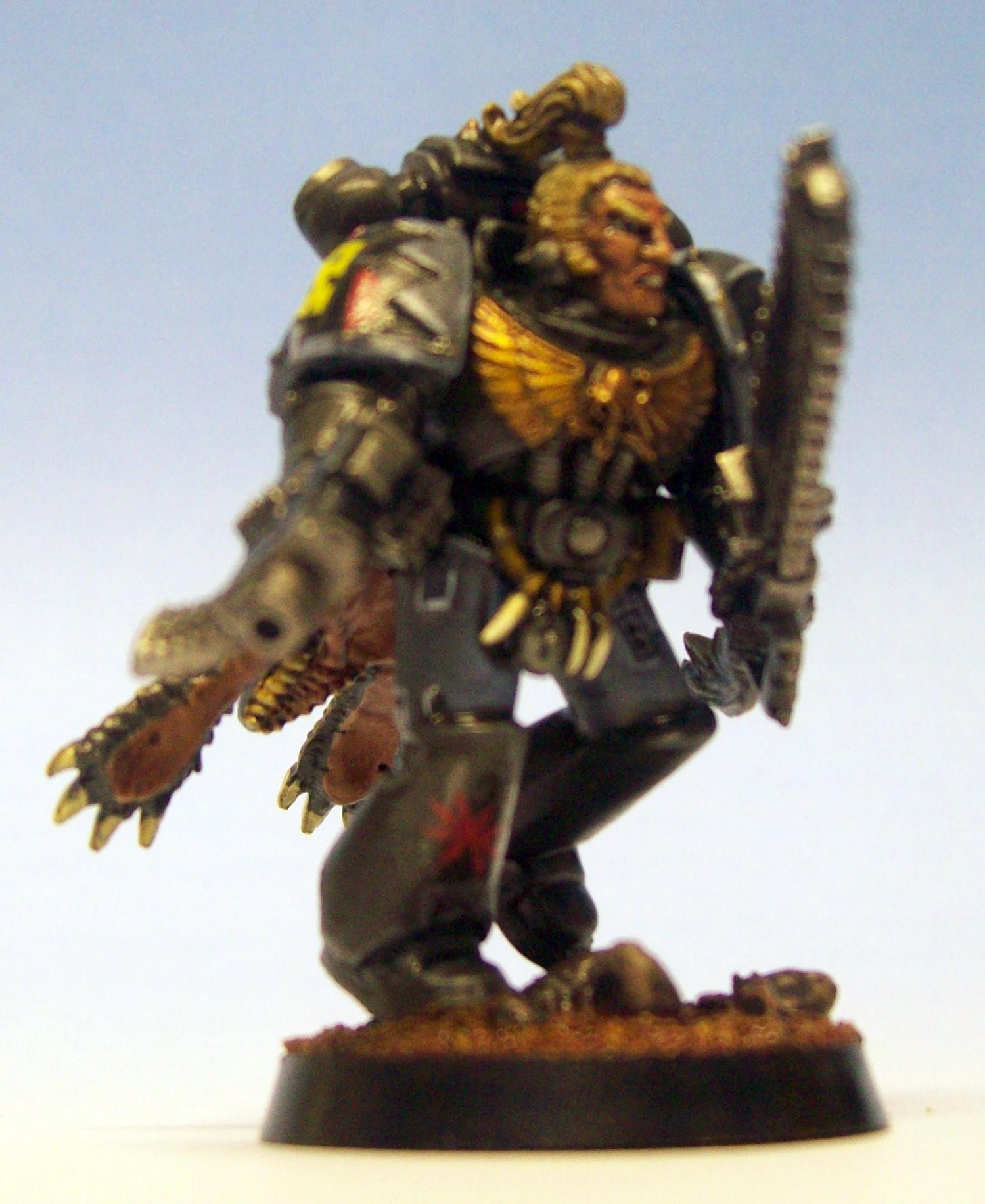 Skyrar's Dark Wolves