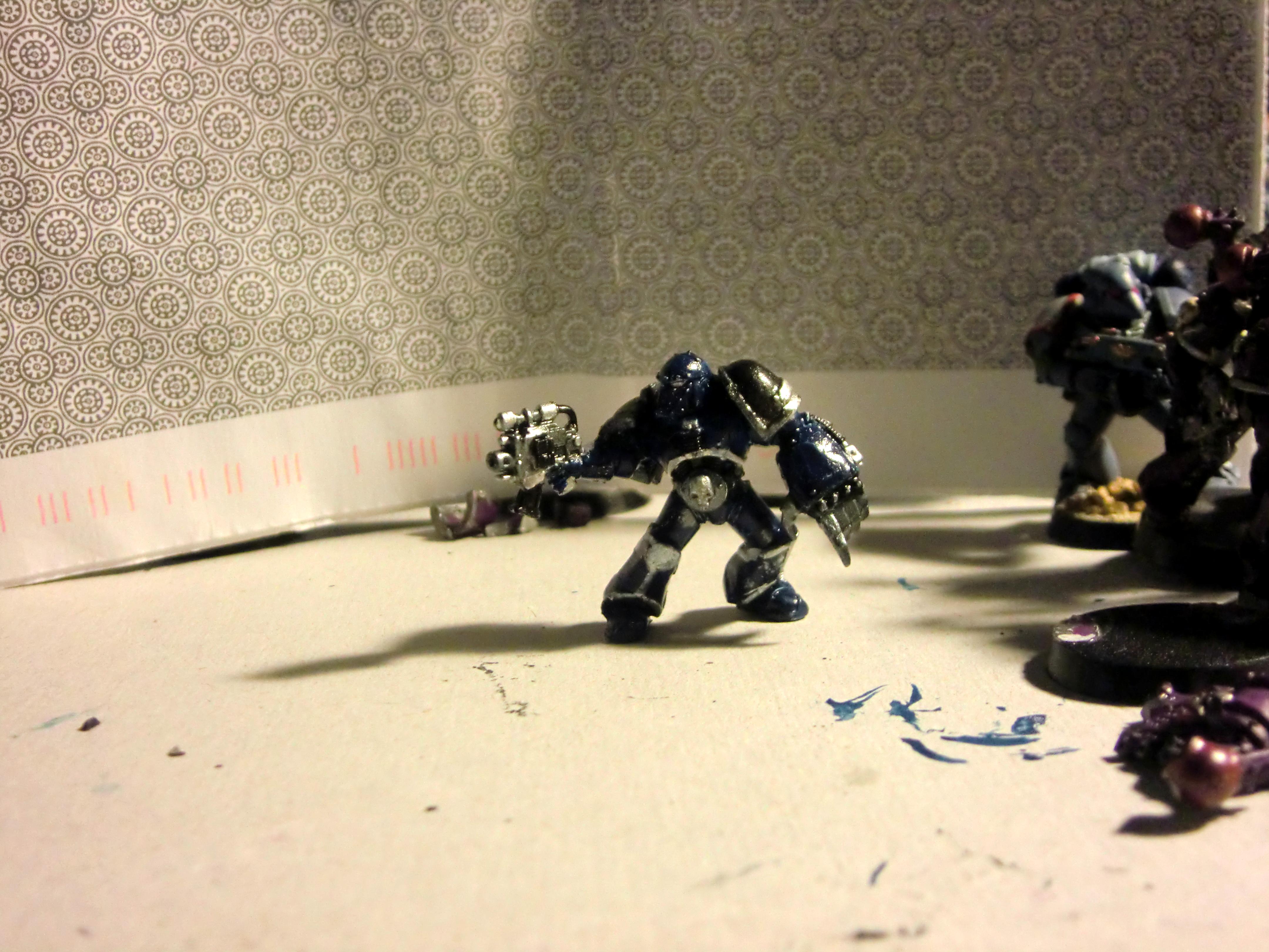 WIP SGT
