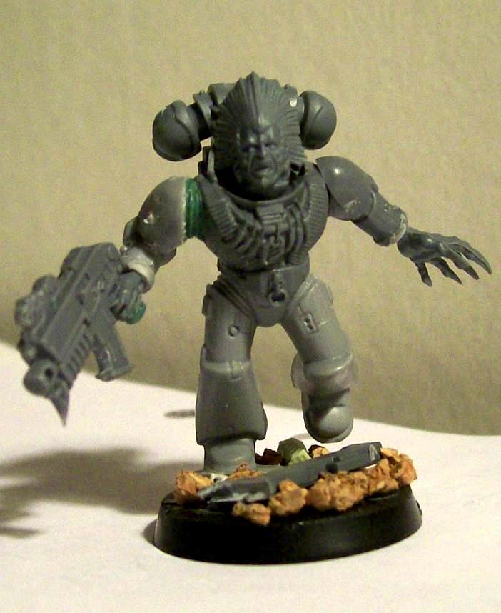Gray Hunter 14.1 MotW