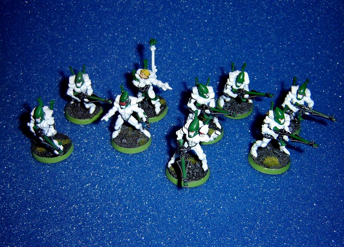 Biel-tan, Eldar, Guardians