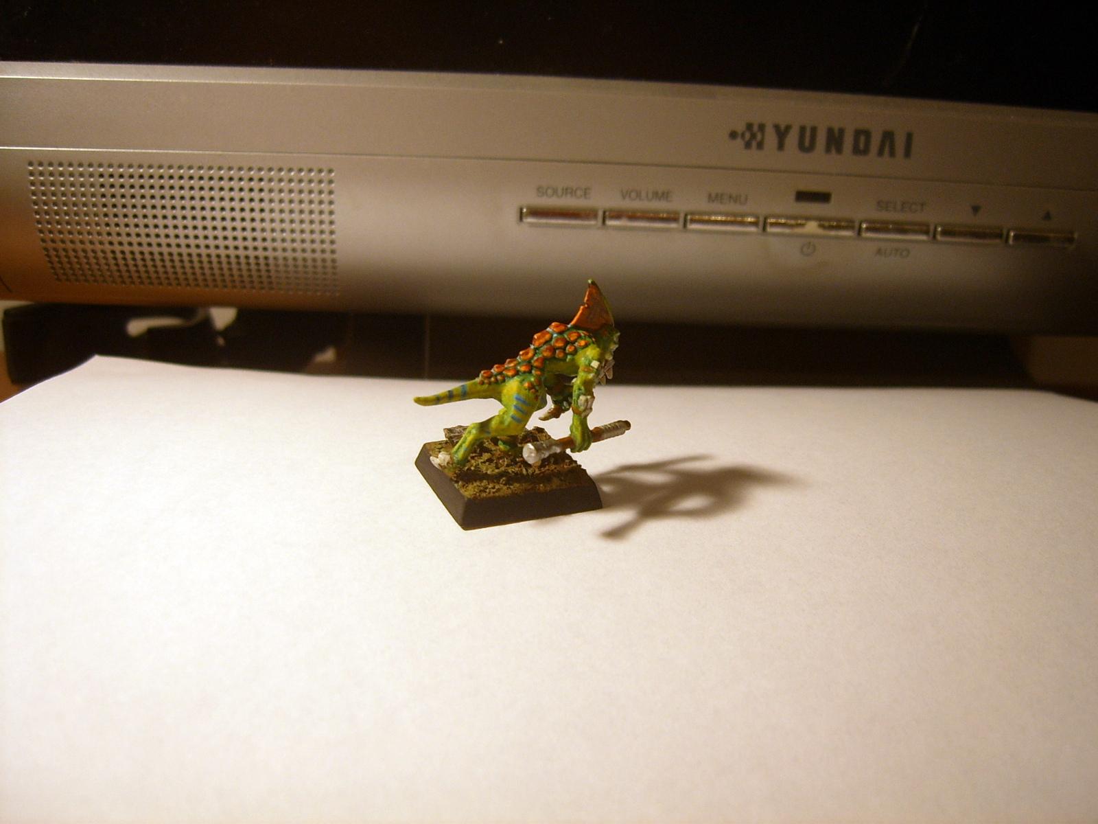 Lizard, Lizardmen, Man, Skinks, Warhammer Fantasy