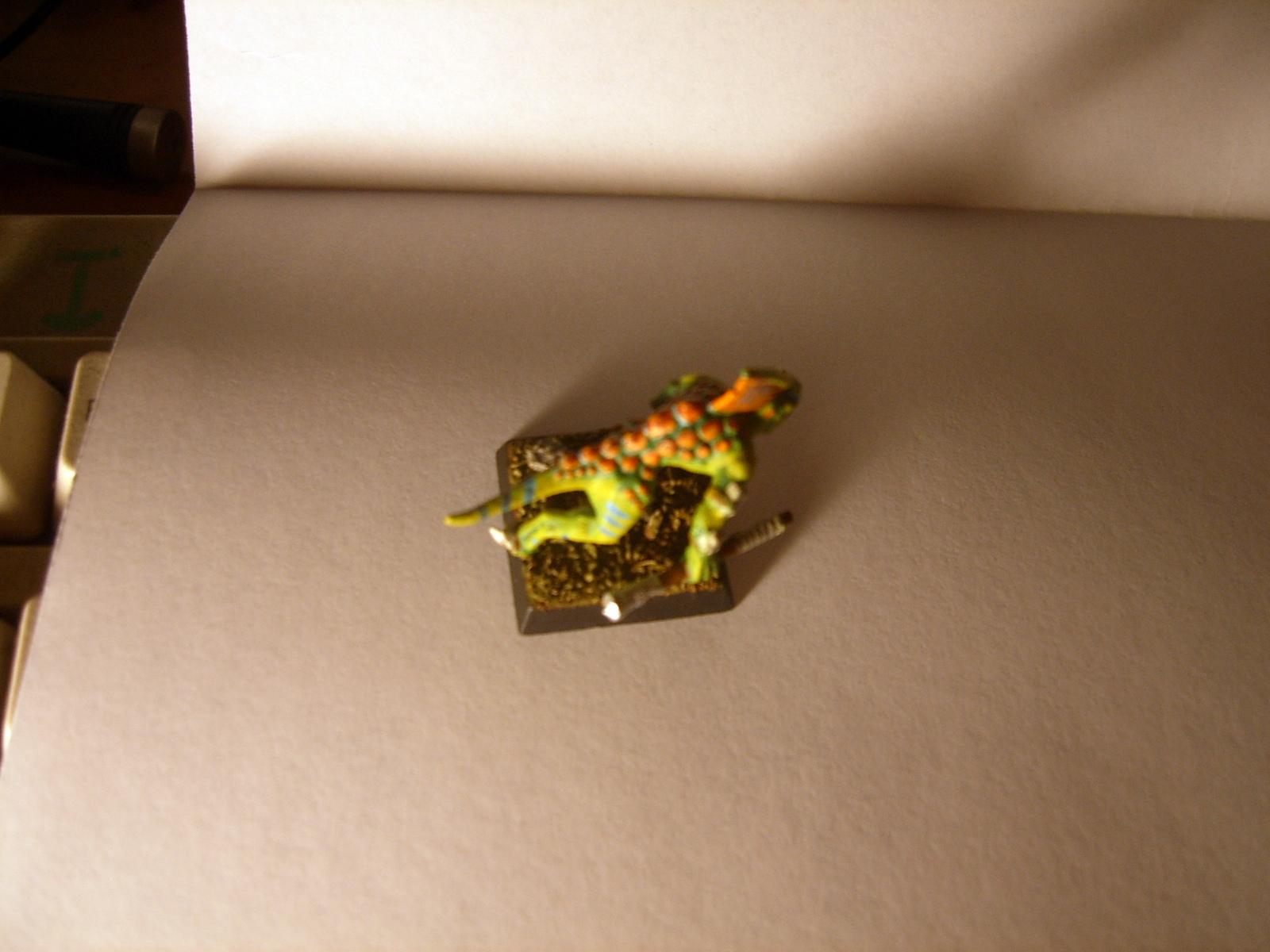 Lizard, Lizardmen, Man, Skinks, Warhammer Fantasy