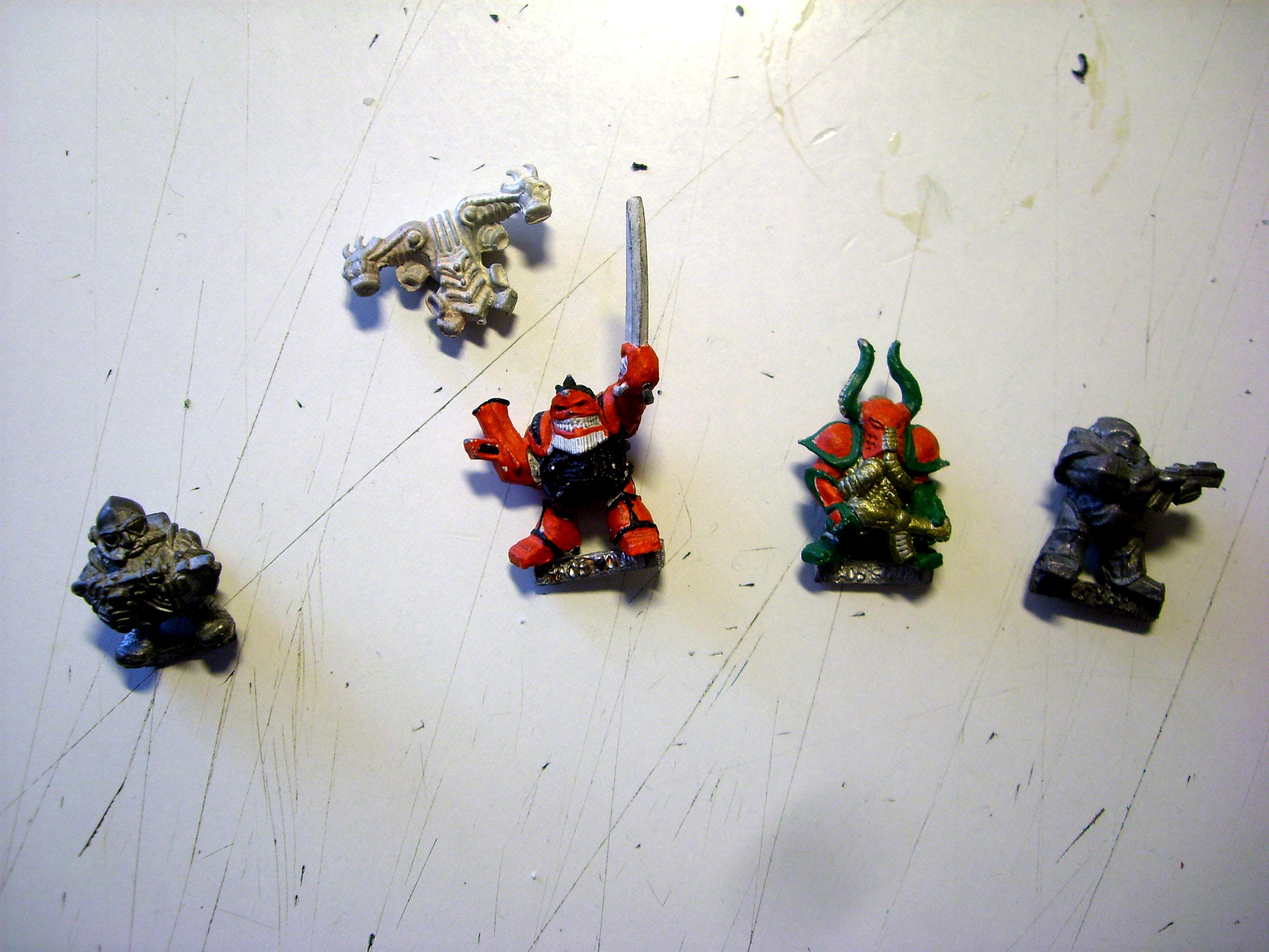 Chaos Squats, Rogue Trader, Squats