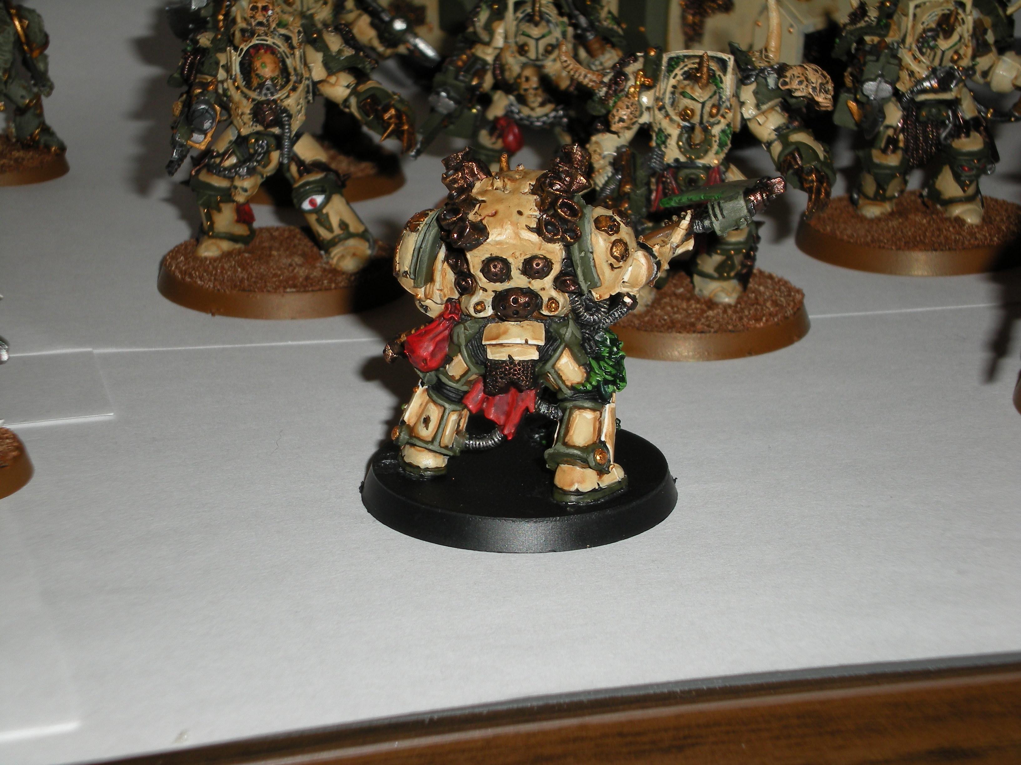 Typhus, Typhus