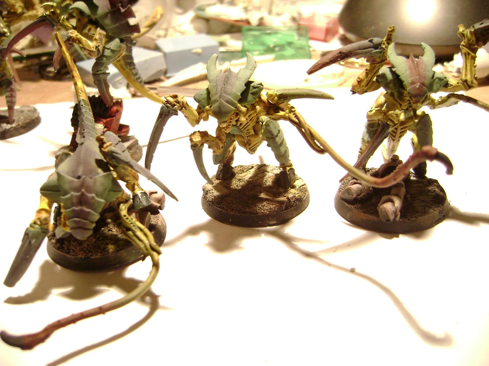  three  lash warriors