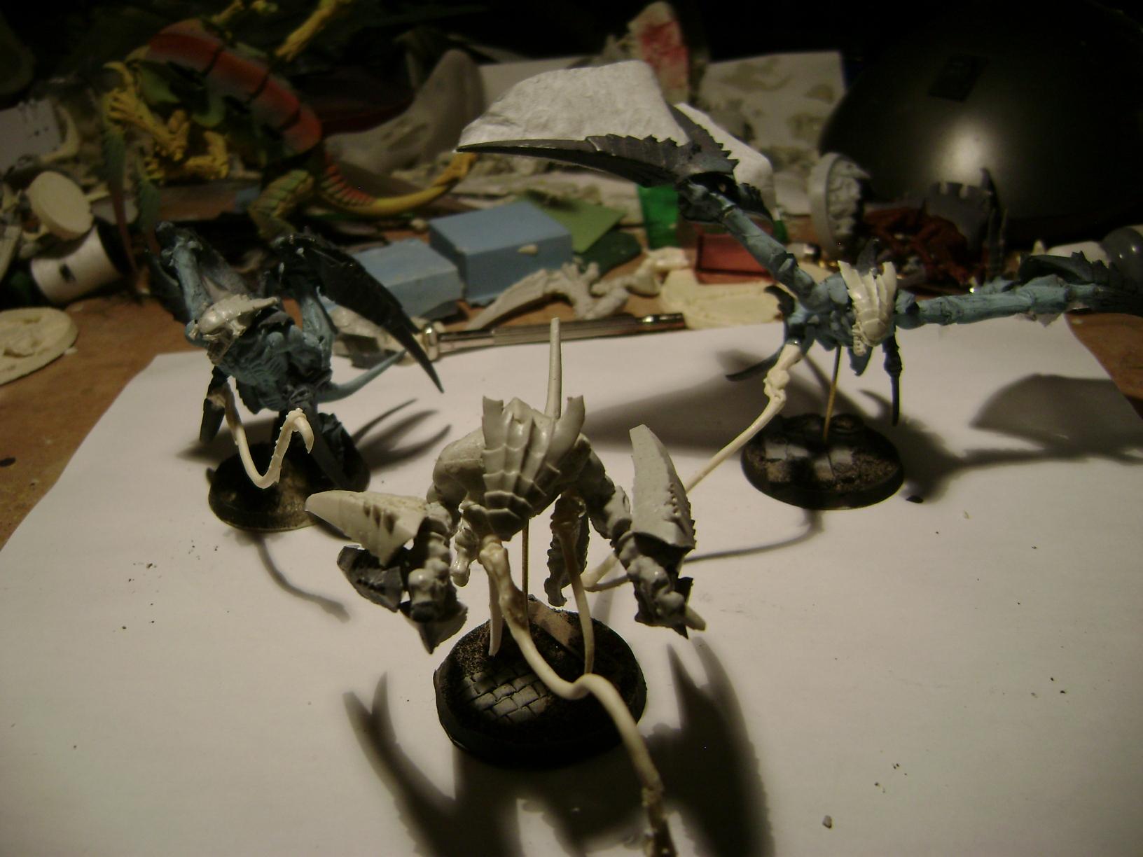 my  trio of  shrikes,  I have more pic  just  ask