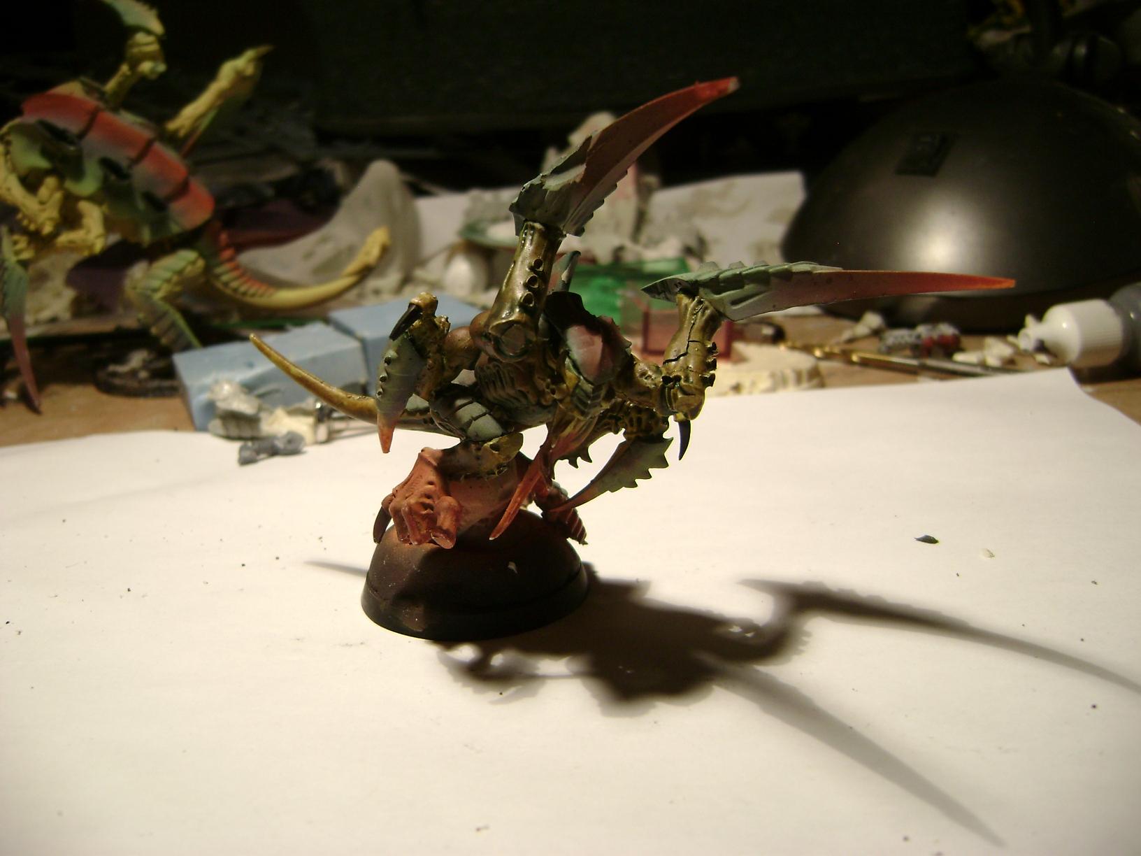 Conversion, Lictor,  the lictor