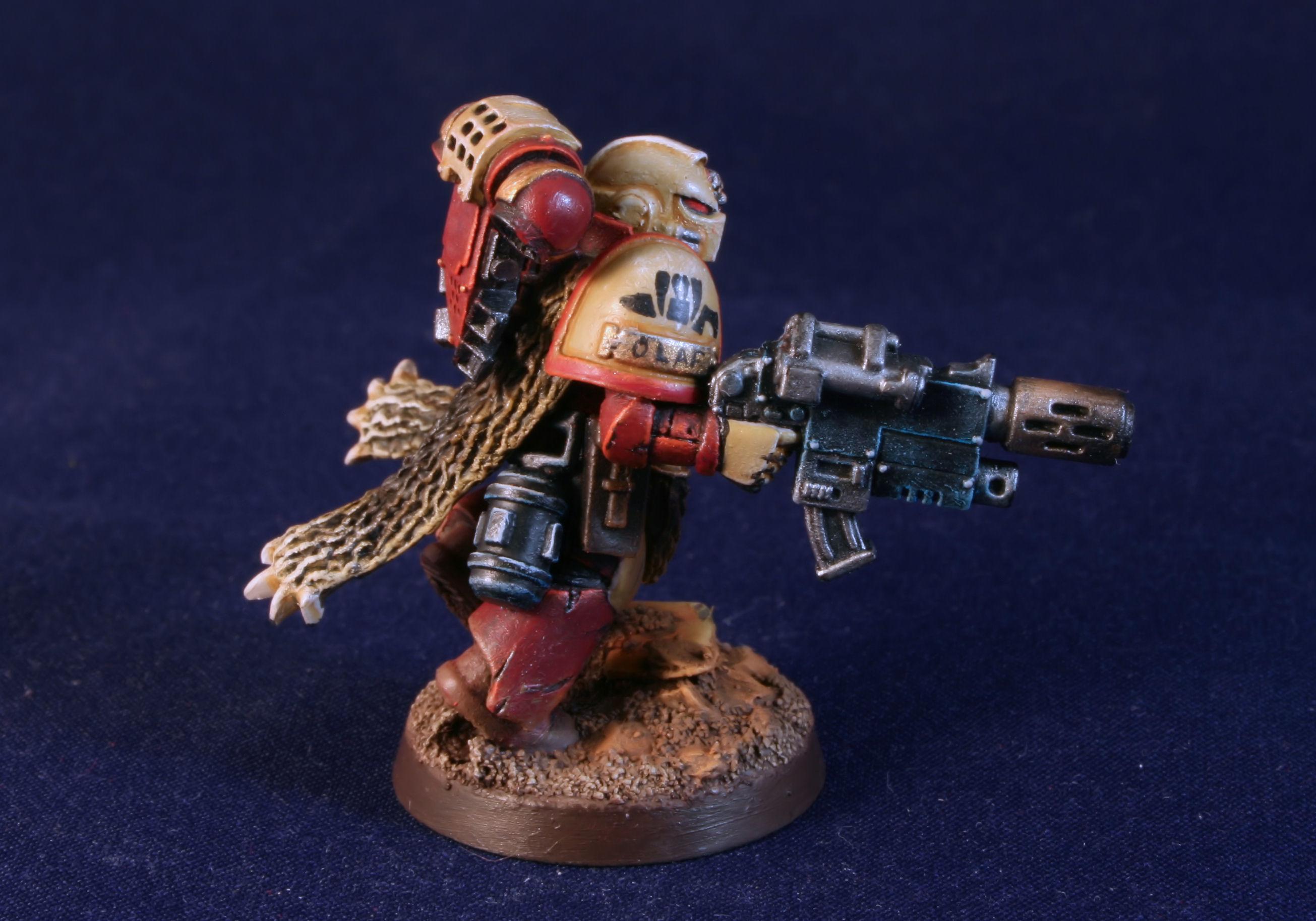 Space Marines, Space Wolves, Stearnguard, Sternguard
