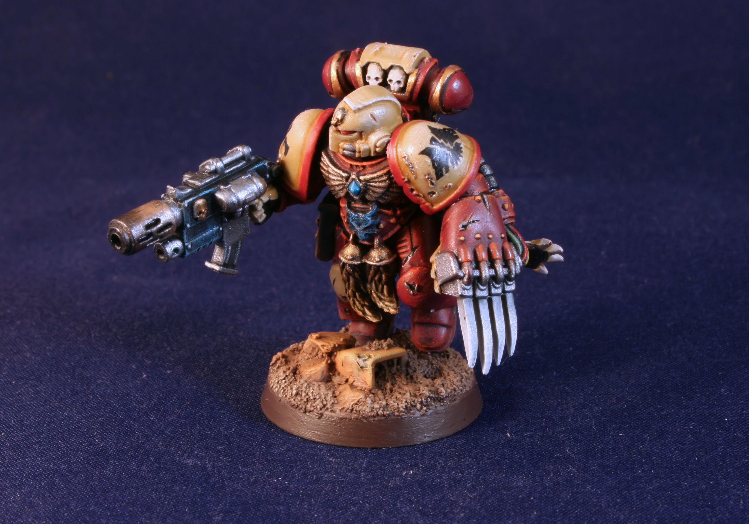 Space Marines, Wolf Guard