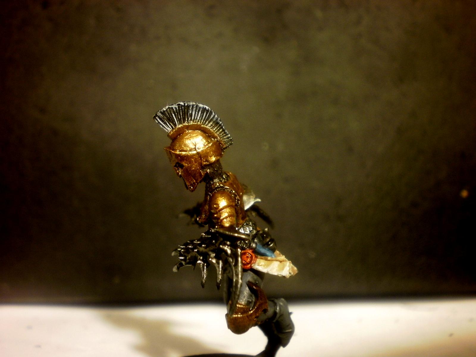 Conversion, Dark Eldar, Sisters Of Silence, Work In Progress