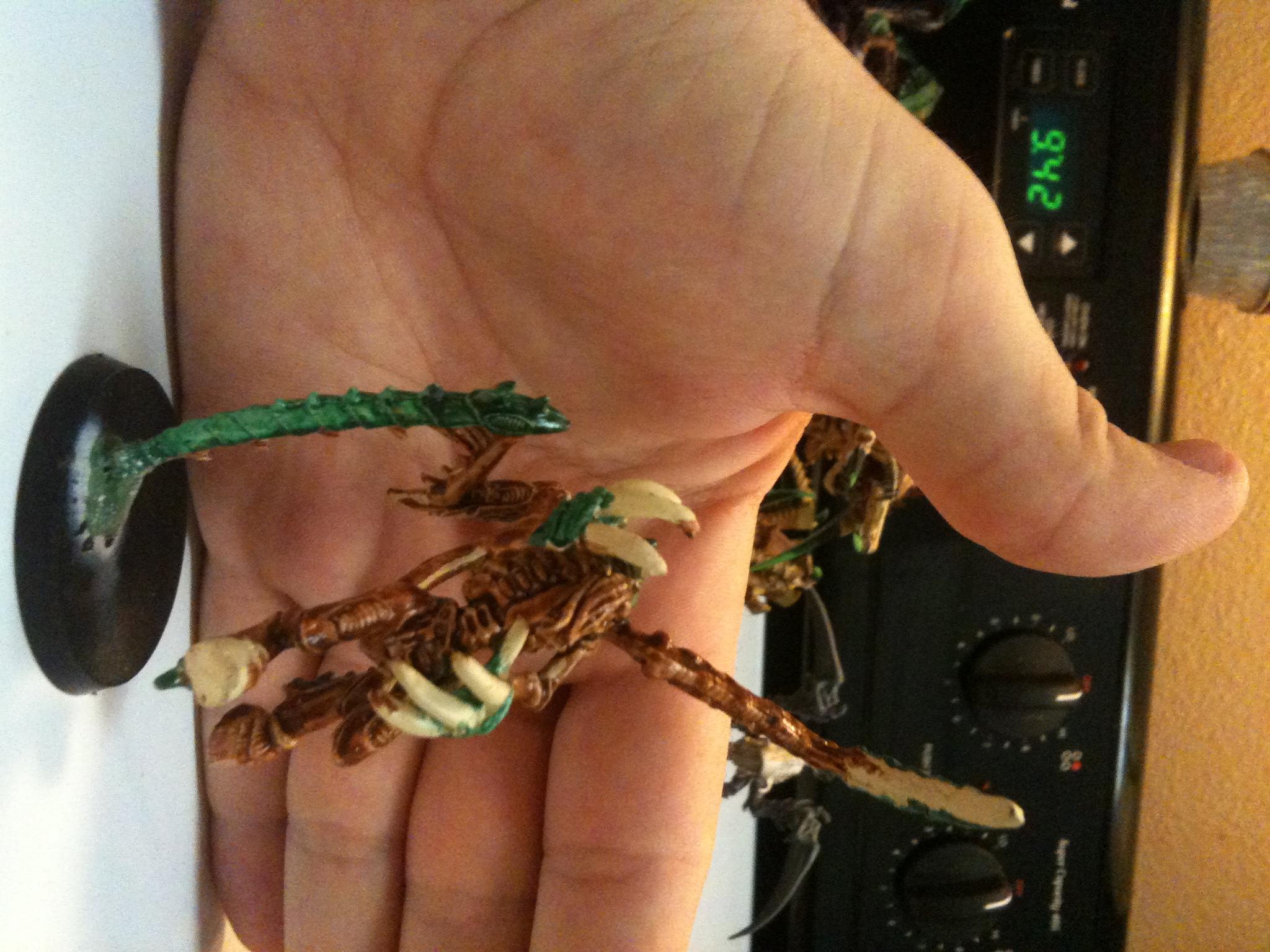 Deathleaper says "not in the face or nuts!"