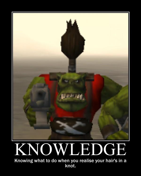 Custom, De-motivational, Demotivational, Knowledge, Motivational, Orks, Pictures, Poster, Warhammer 40,000, Warhammer Fantasy
