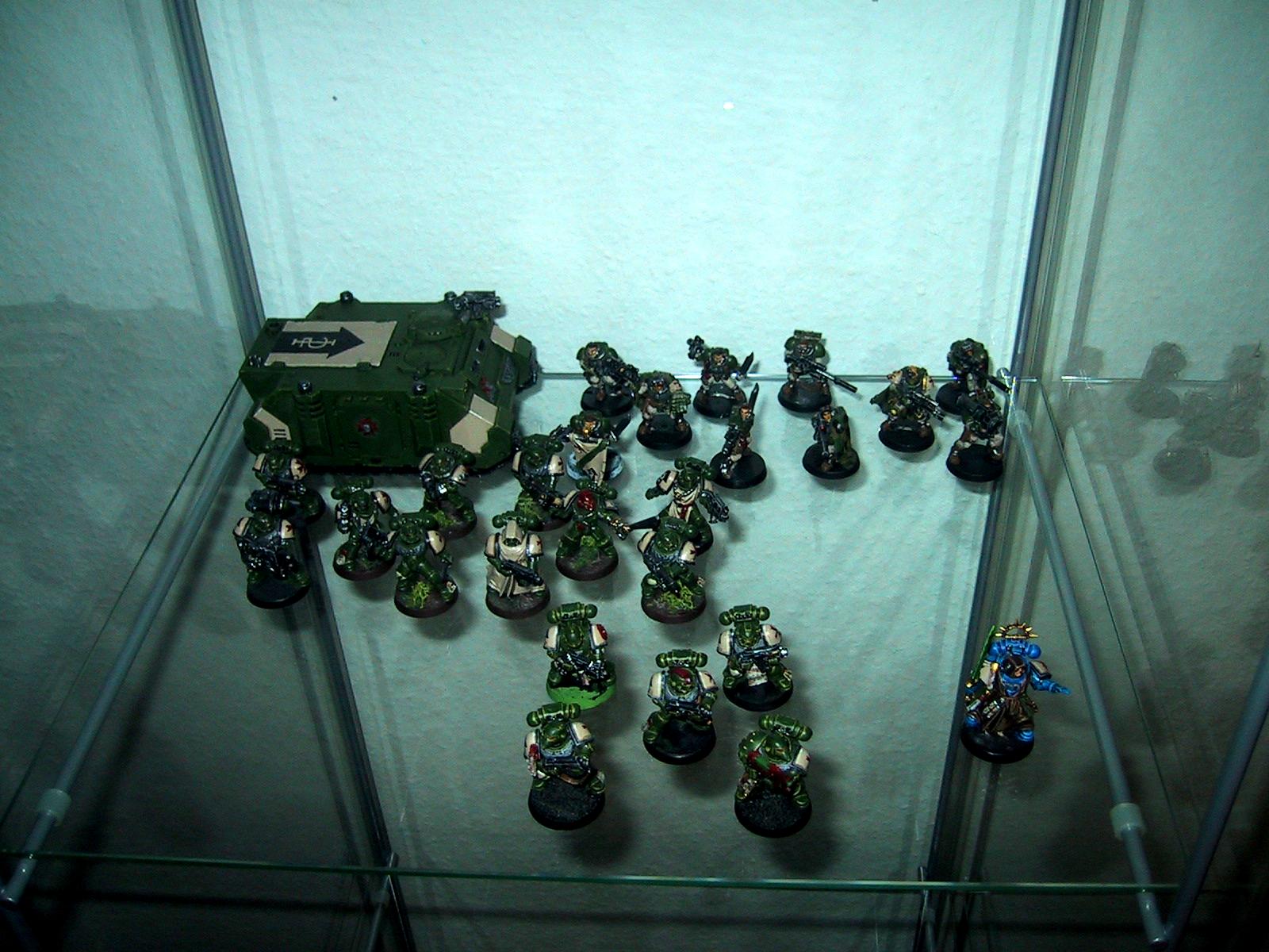 Space Marines, My Space Marine collection