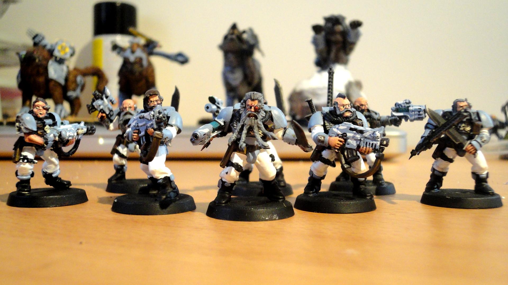Wolf Scouts